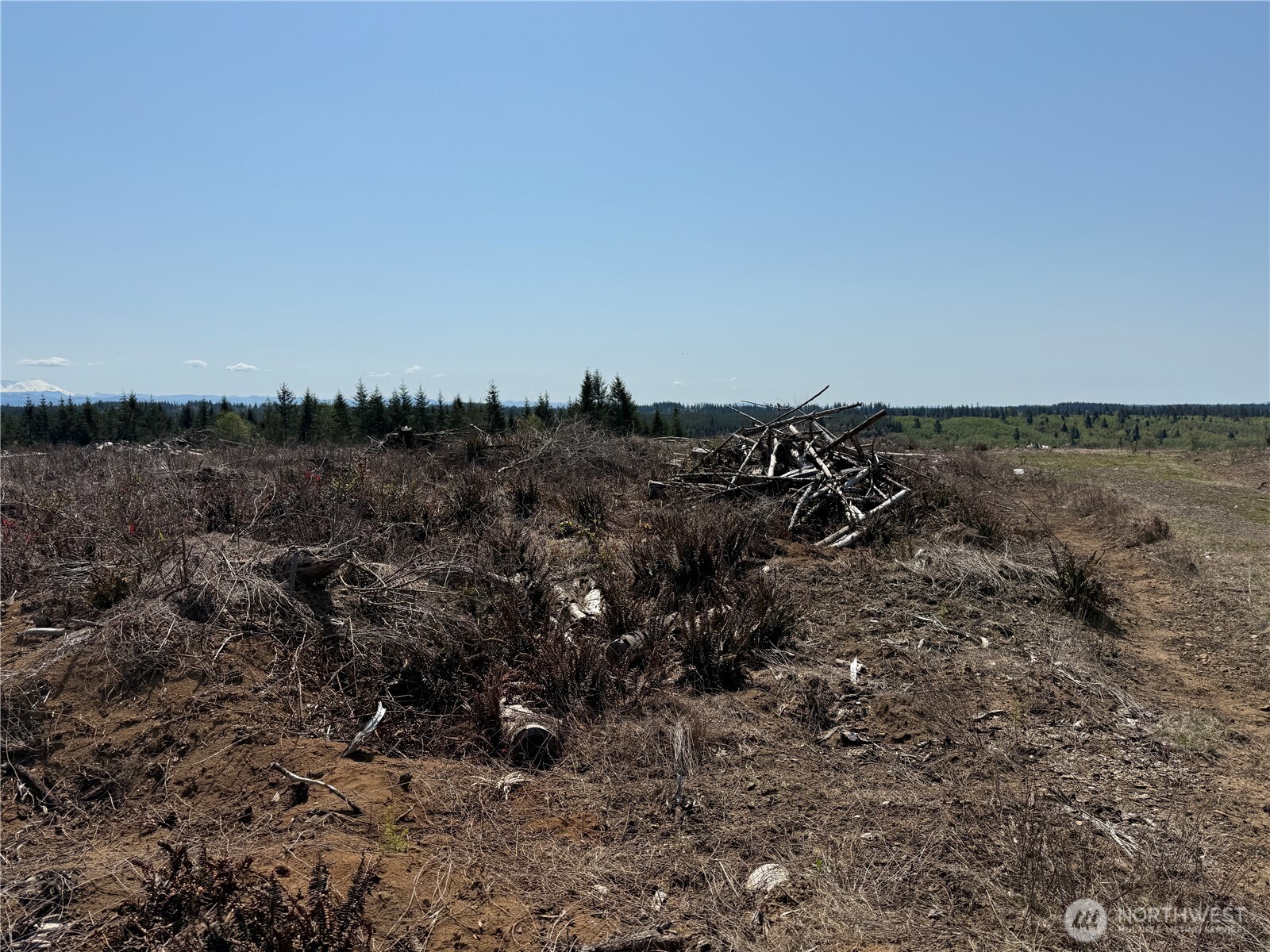 2 Xx Oppelt Road Property Photo 7