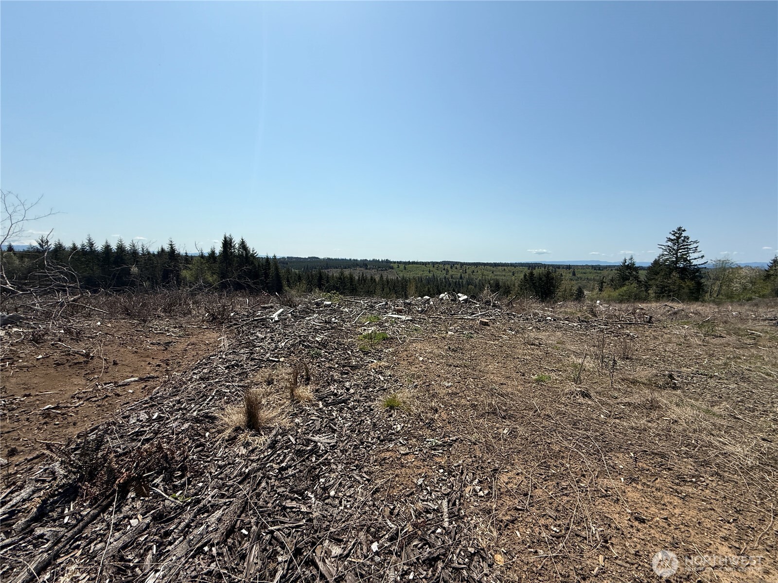 2 Xx Oppelt Road Property Photo 9