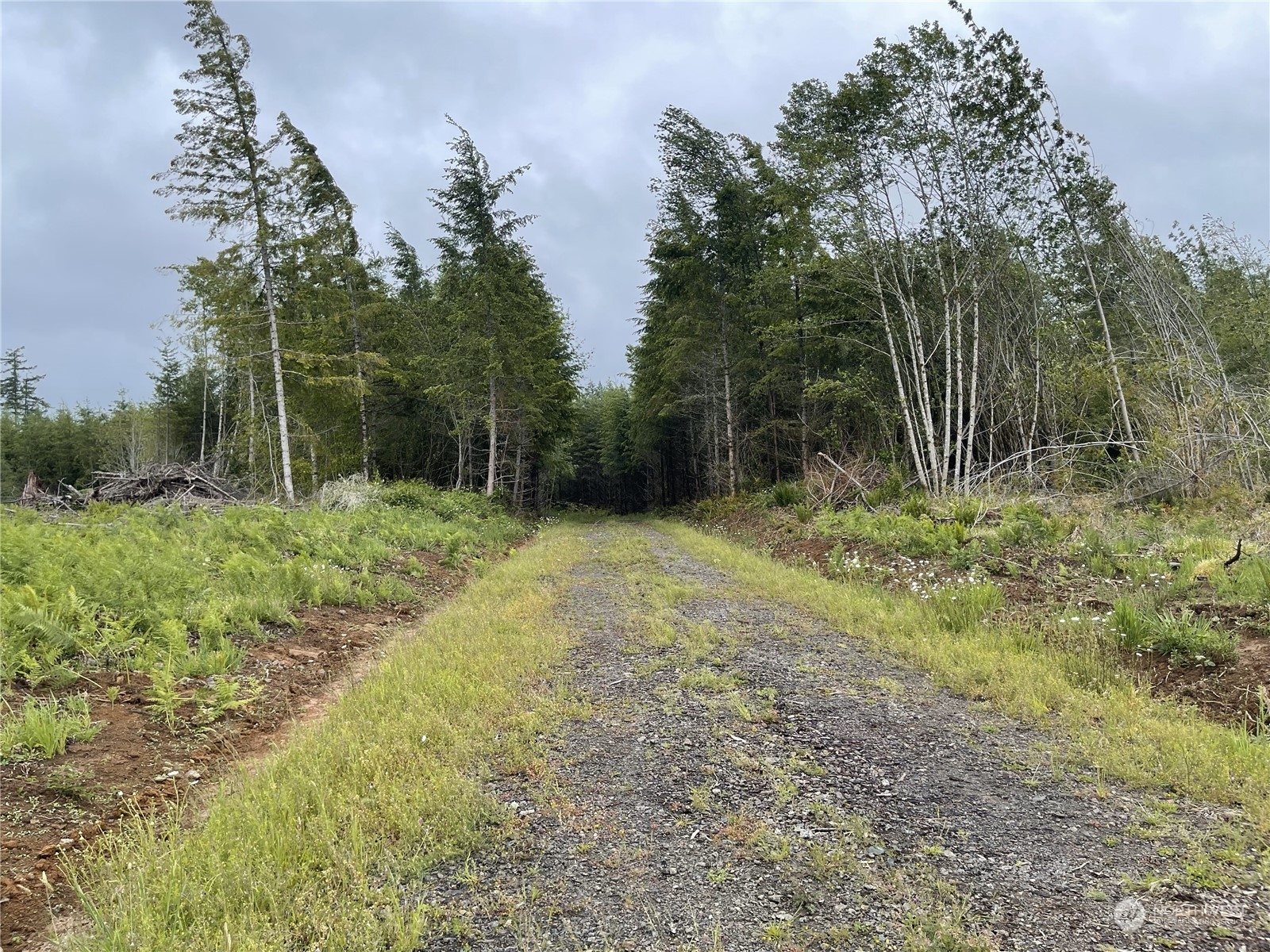 3 Xx Centralia Alpha Road Property Photo 4