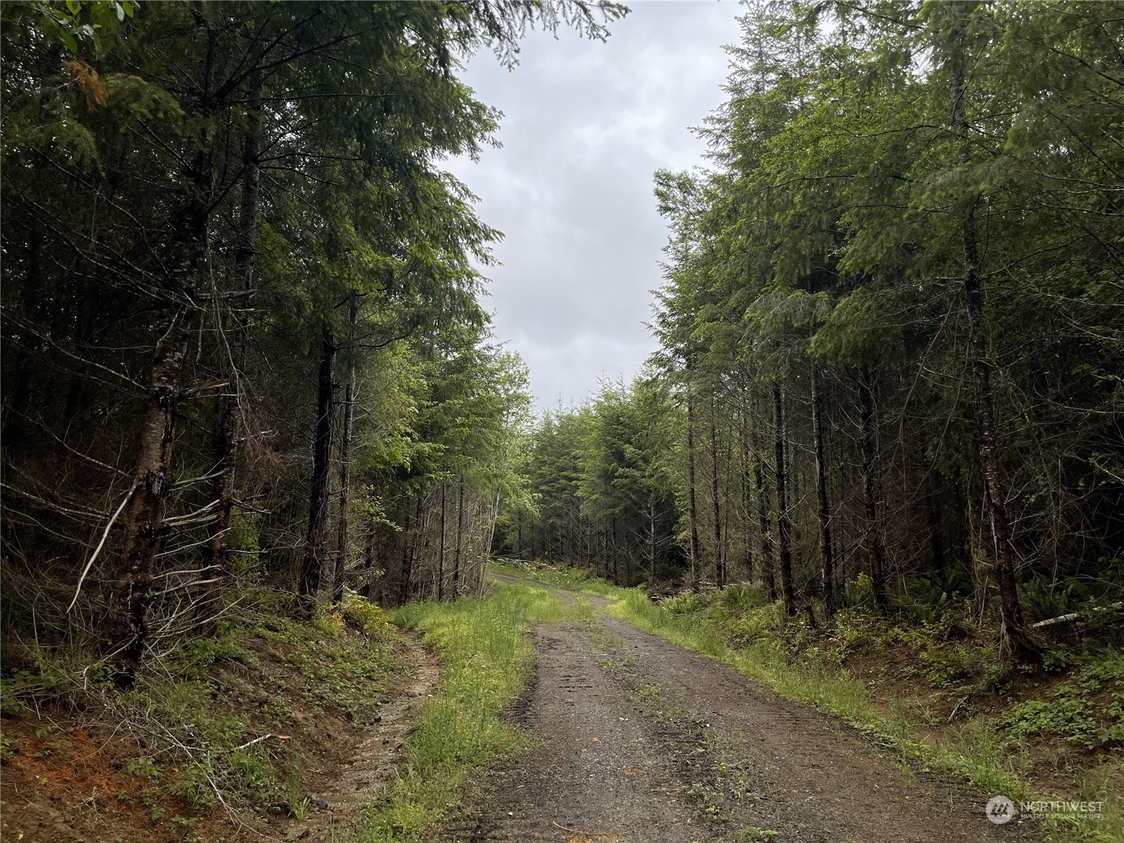 3 Xx Centralia Alpha Road Property Photo 6