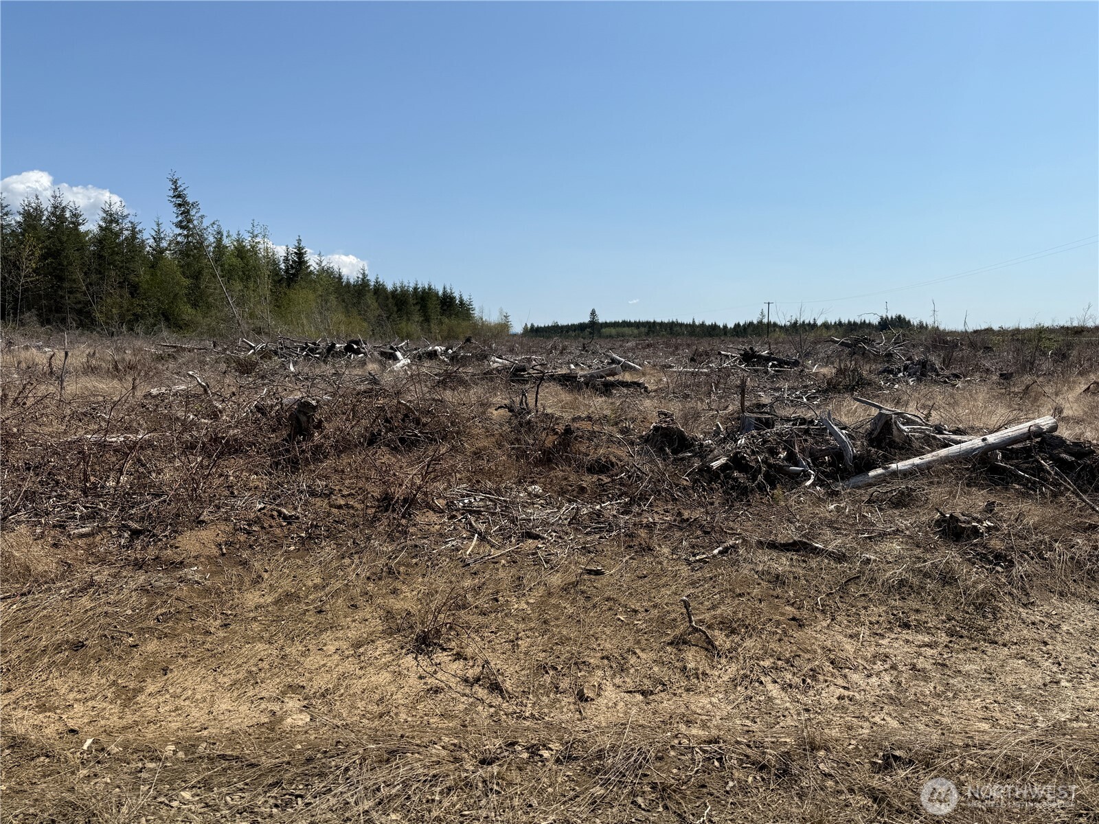 3 Xx Centralia Alpha Road Property Photo 7