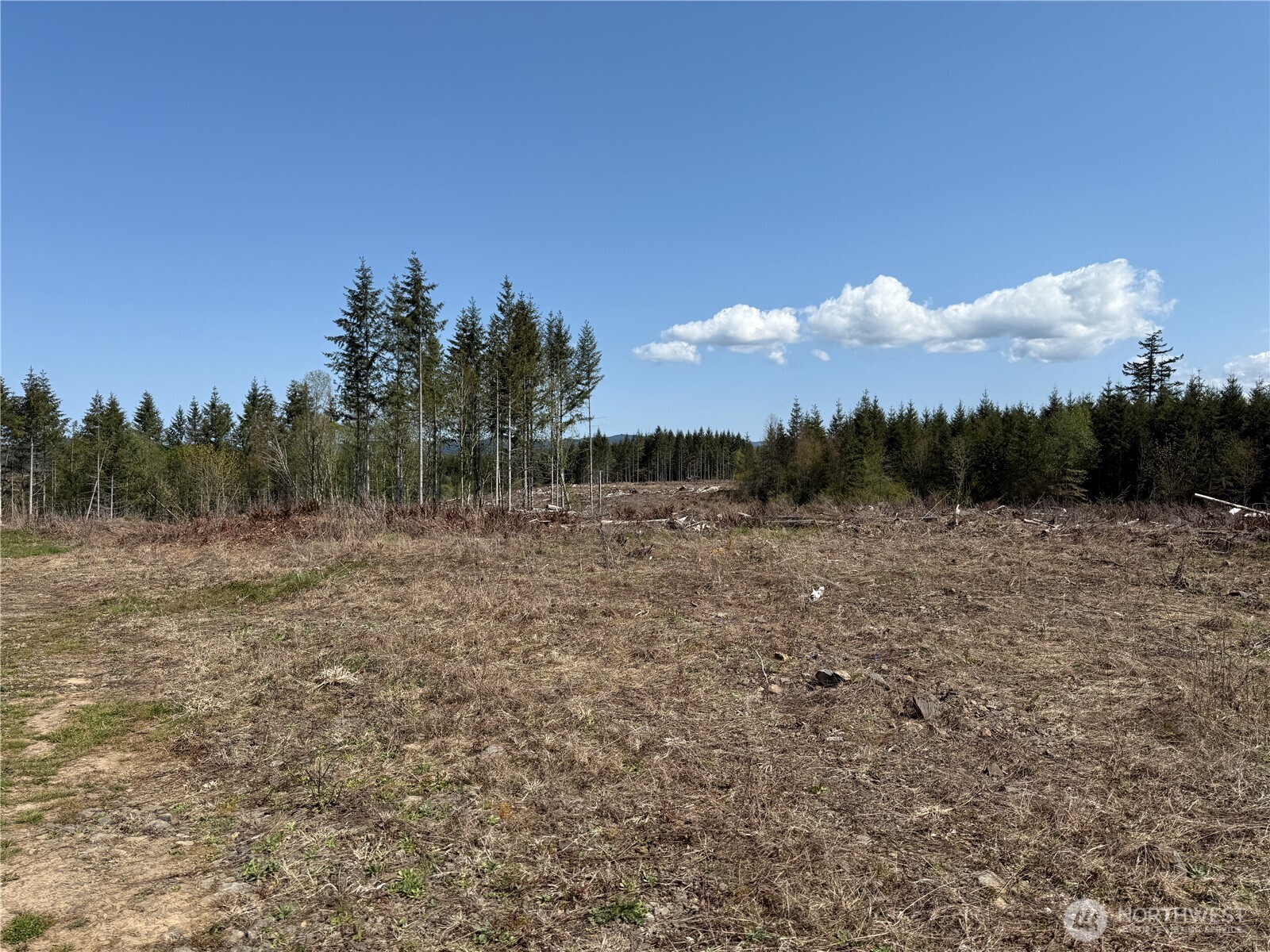 3 Xx Centralia Alpha Road Property Photo 9