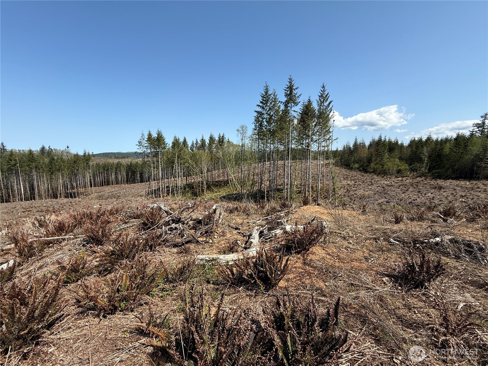 3 Xx Centralia Alpha Road Property Photo 10