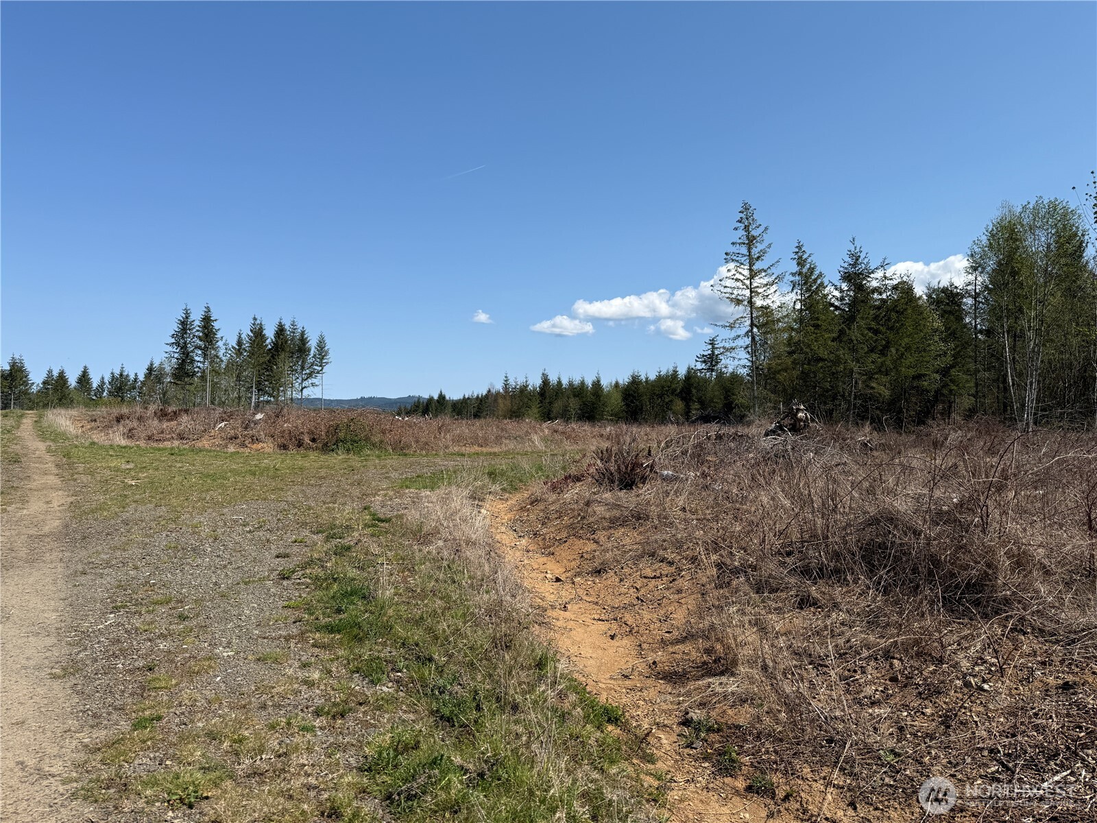 3 Xx Centralia Alpha Road Property Photo 11