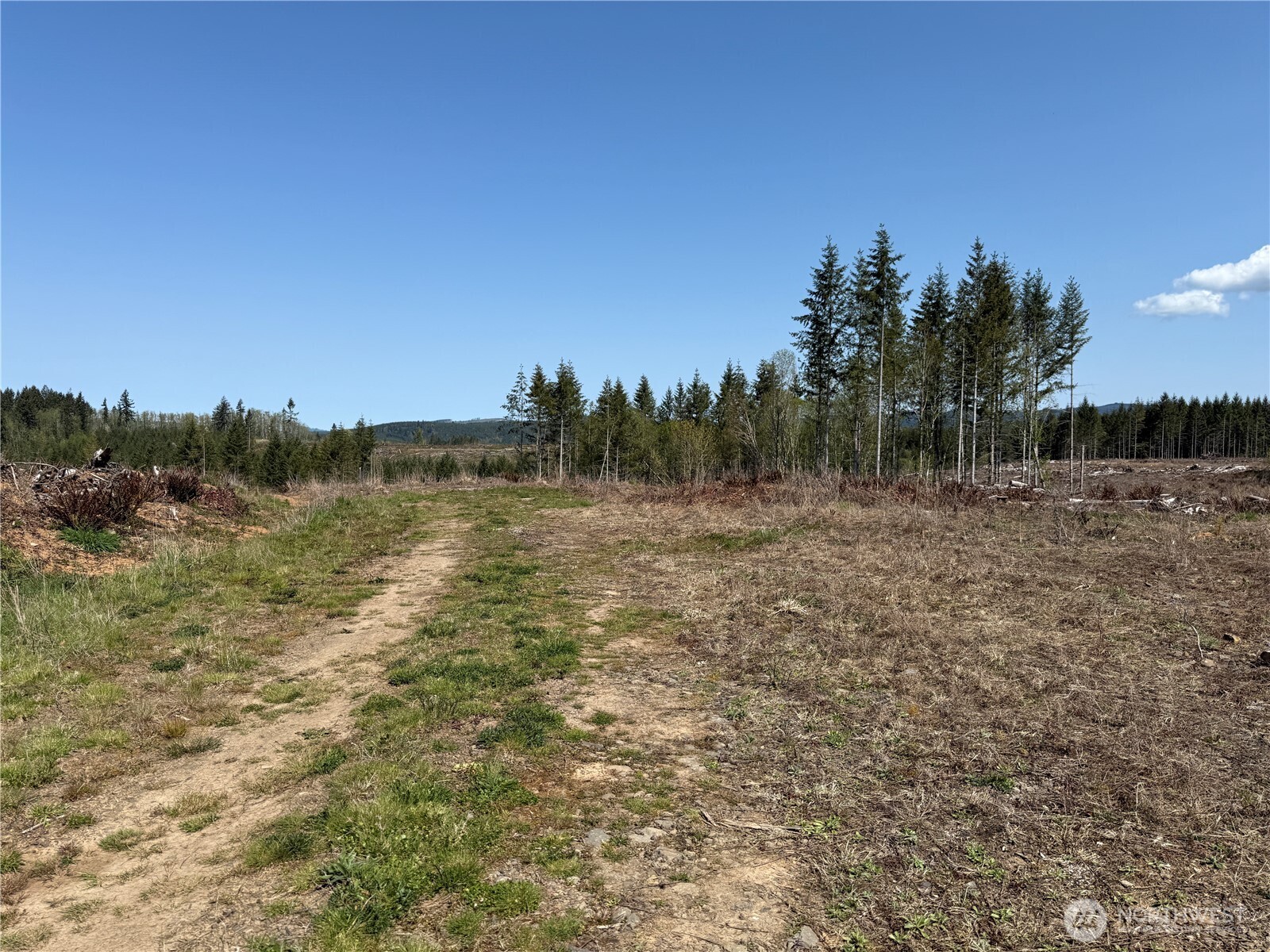 3 Xx Centralia Alpha Road Property Photo 12