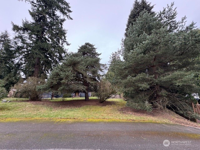 12132 107th Avenue Property Photo 2