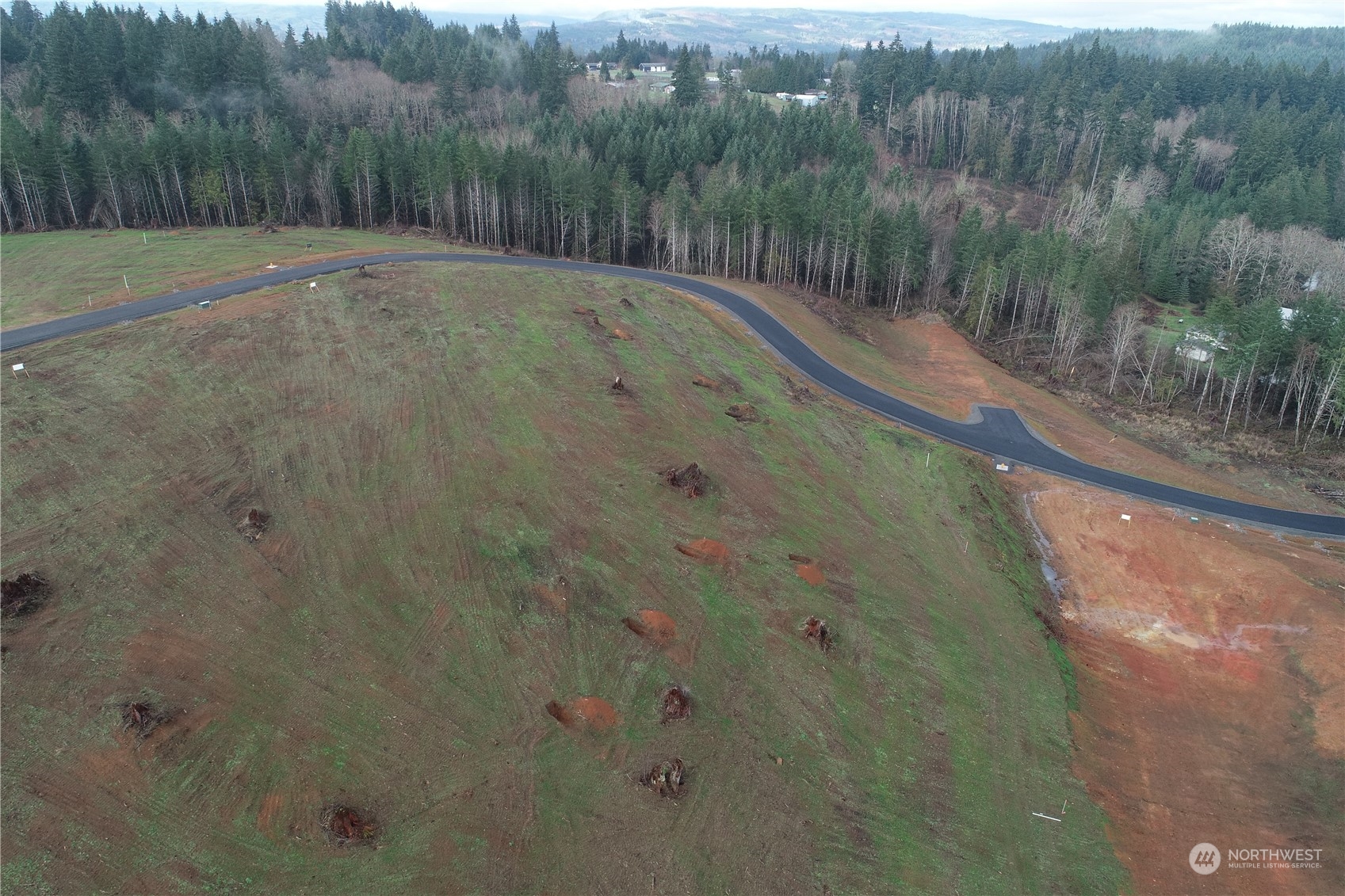 201 Ash Mountain Drive Property Photo 6