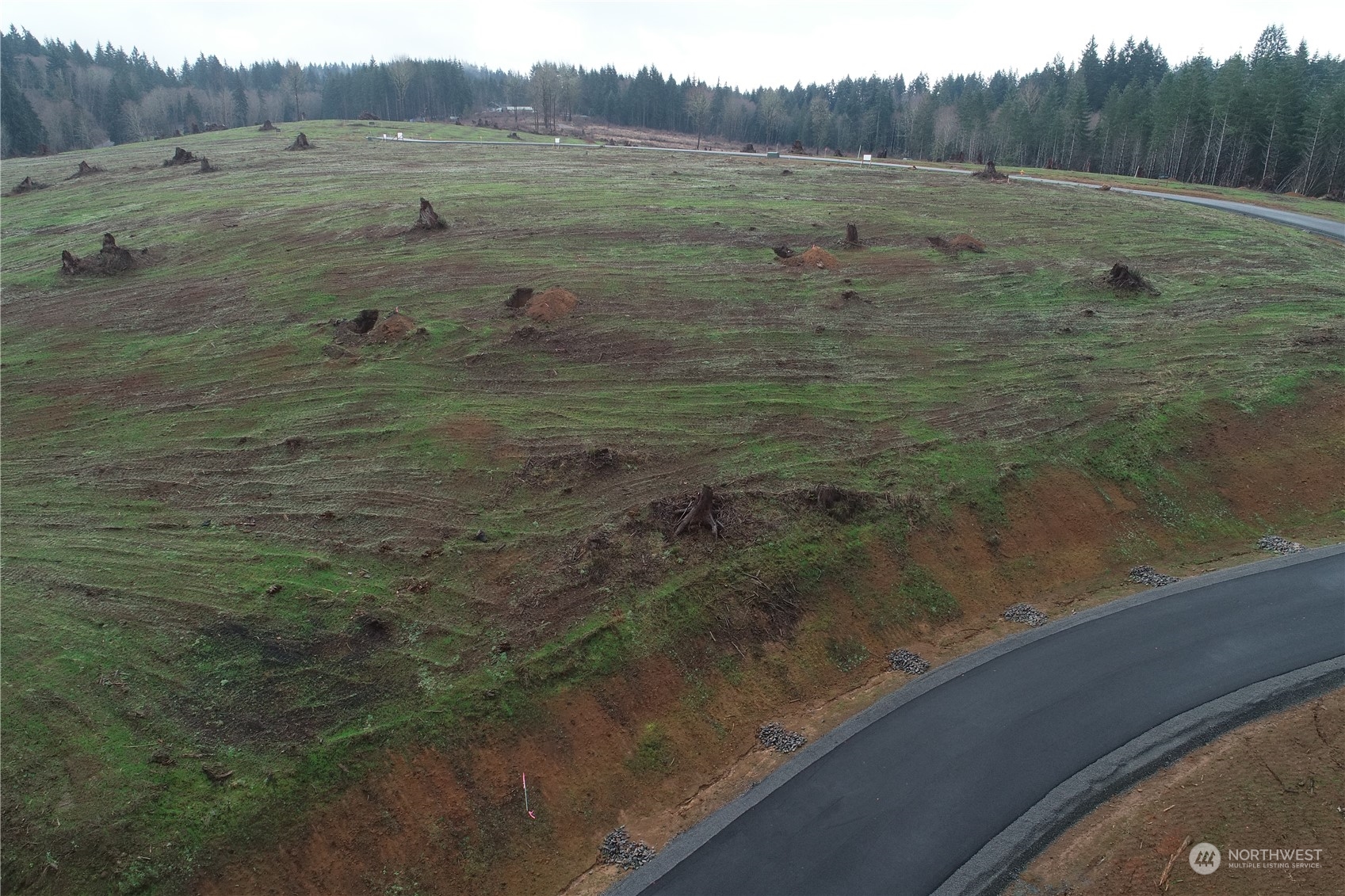 201 Ash Mountain Drive Property Photo 8