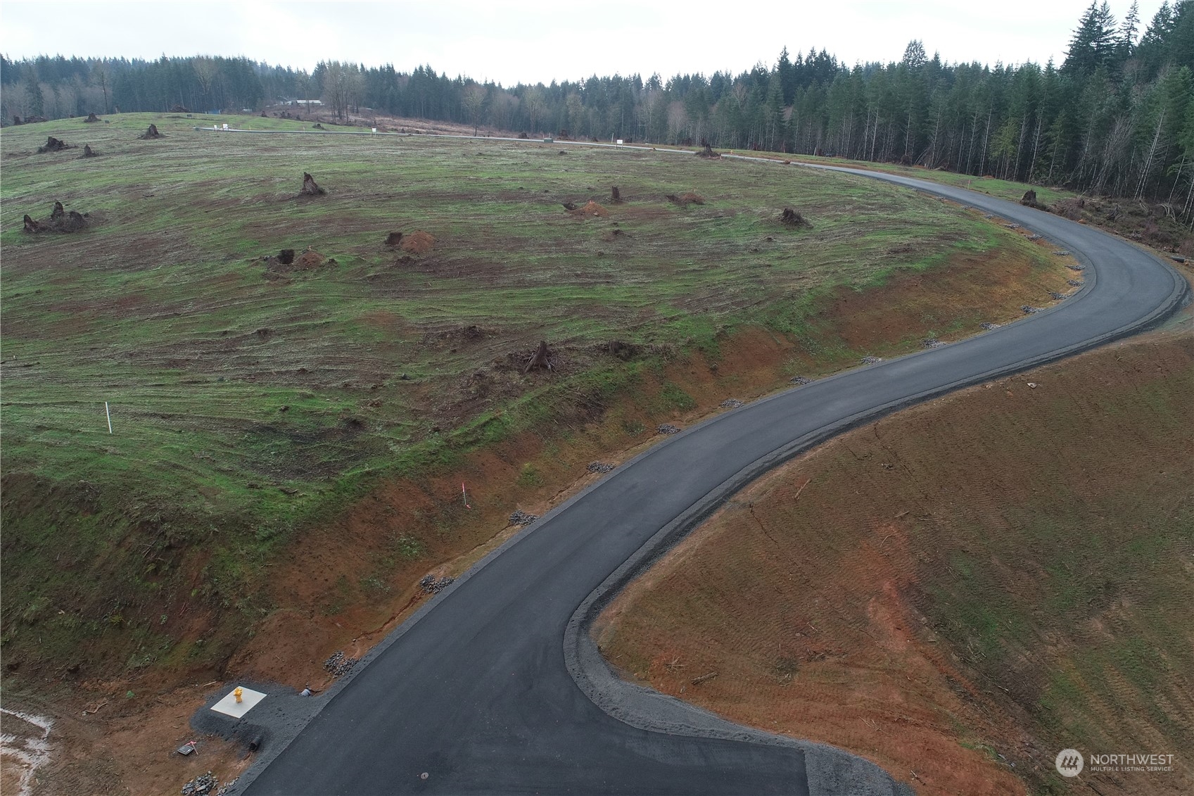 201 Ash Mountain Drive Property Photo 10