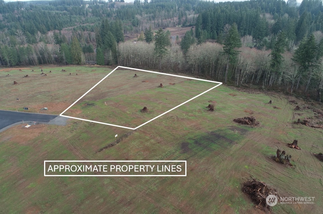 231 Ash Mountain Drive Property Photo 2