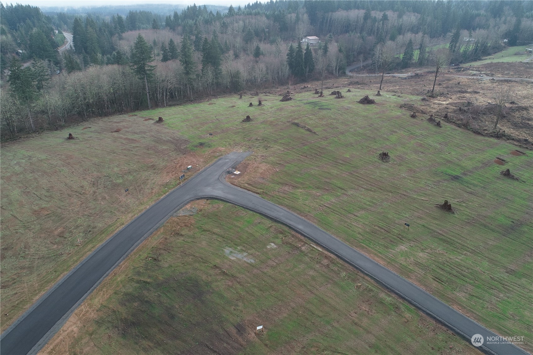 231 Ash Mountain Drive Property Photo 4