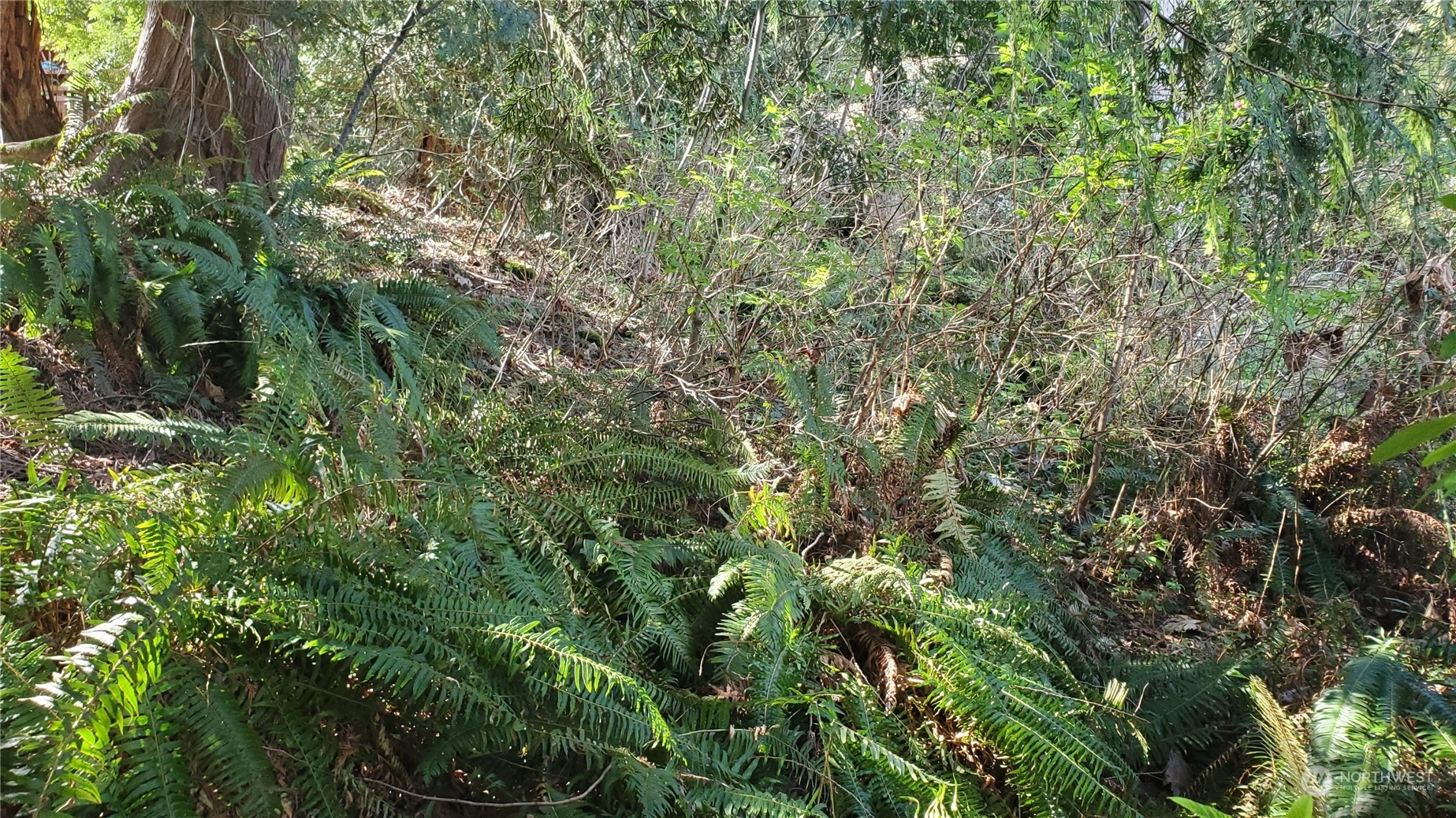 750 West Road Property Photo 10