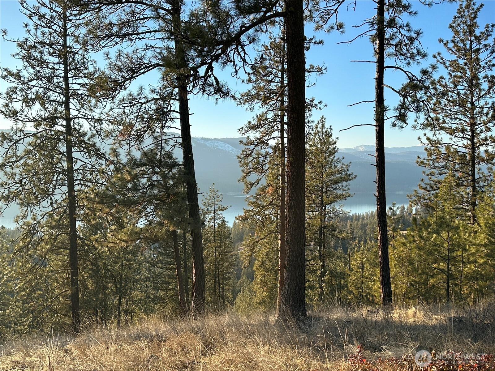 0 34xx Daisy Mine Road Property Photo 2