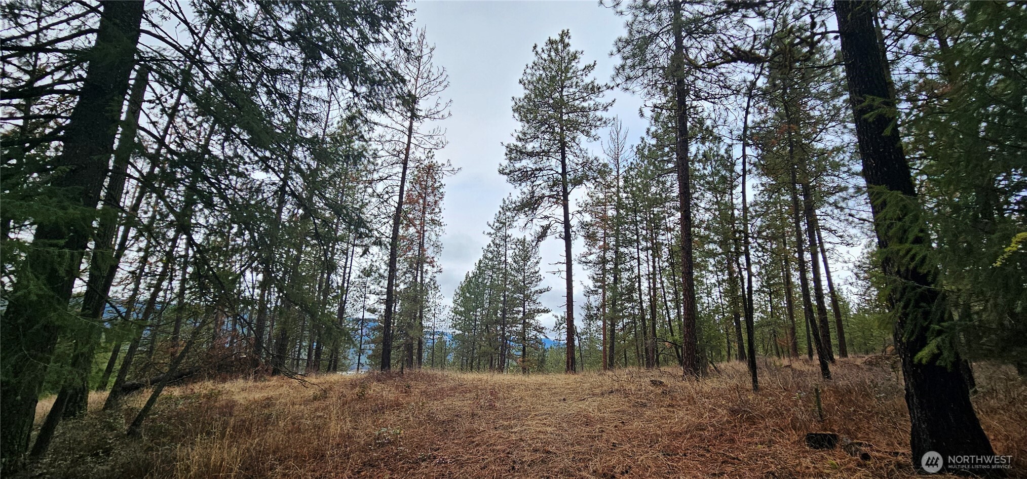 0 34xx Daisy Mine Road Property Photo 3