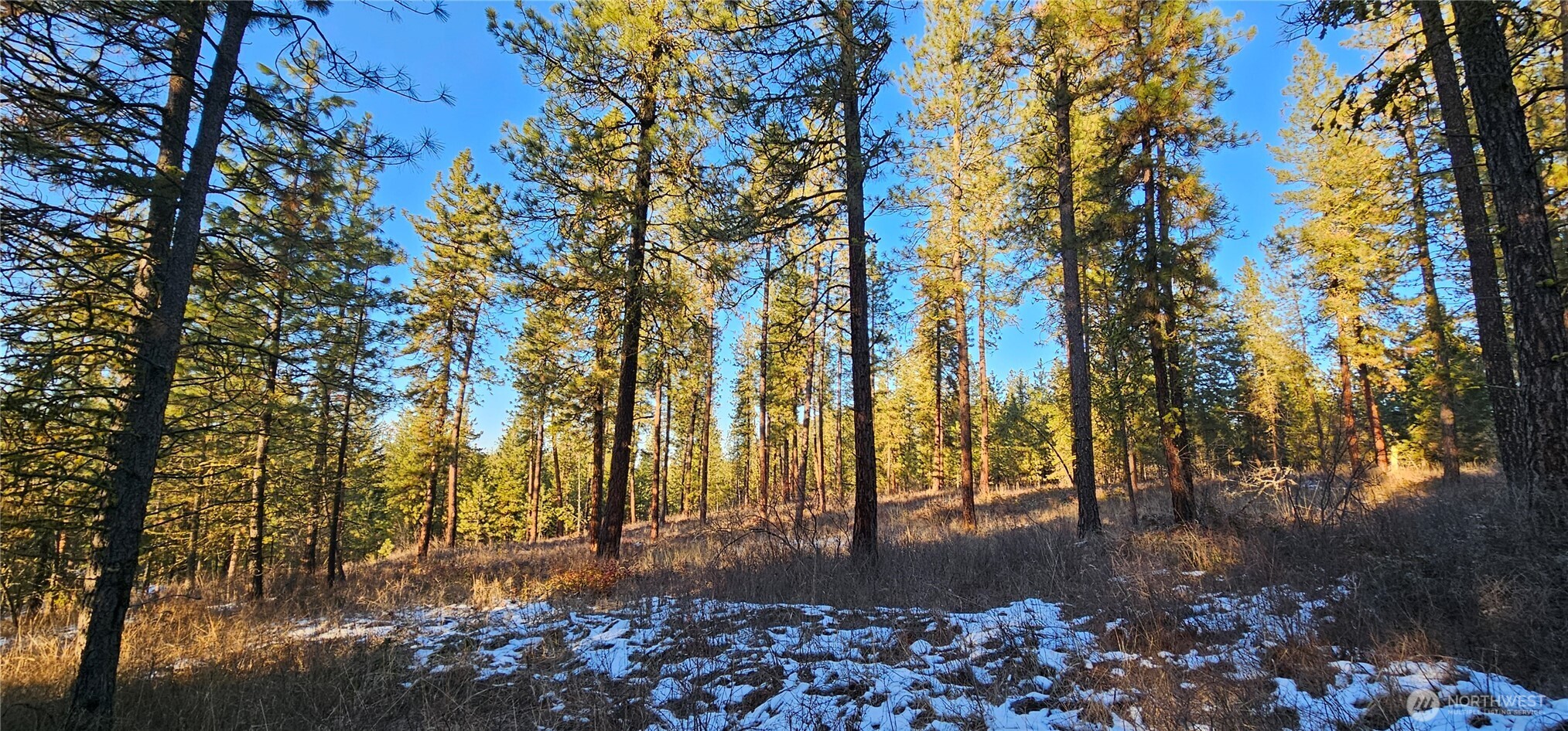 0 34xx Daisy Mine Road Property Photo 4
