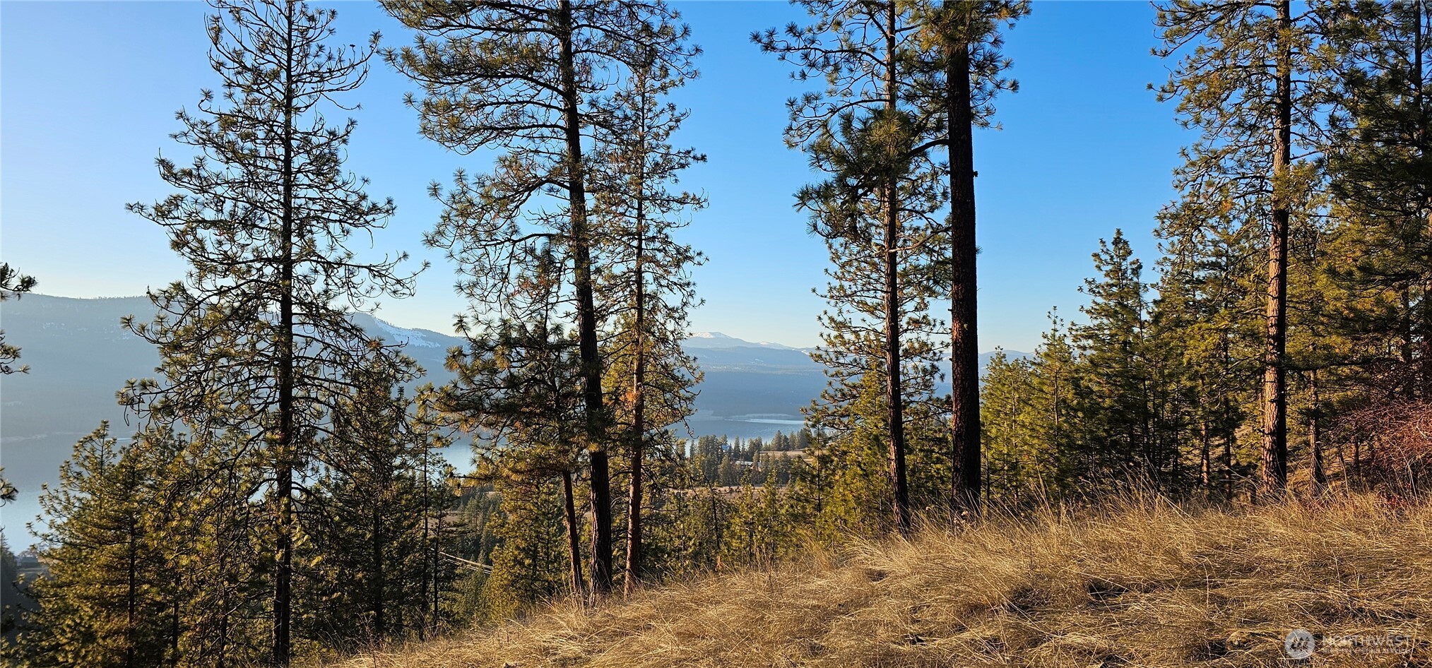 0 34xx Daisy Mine Road Property Photo 6