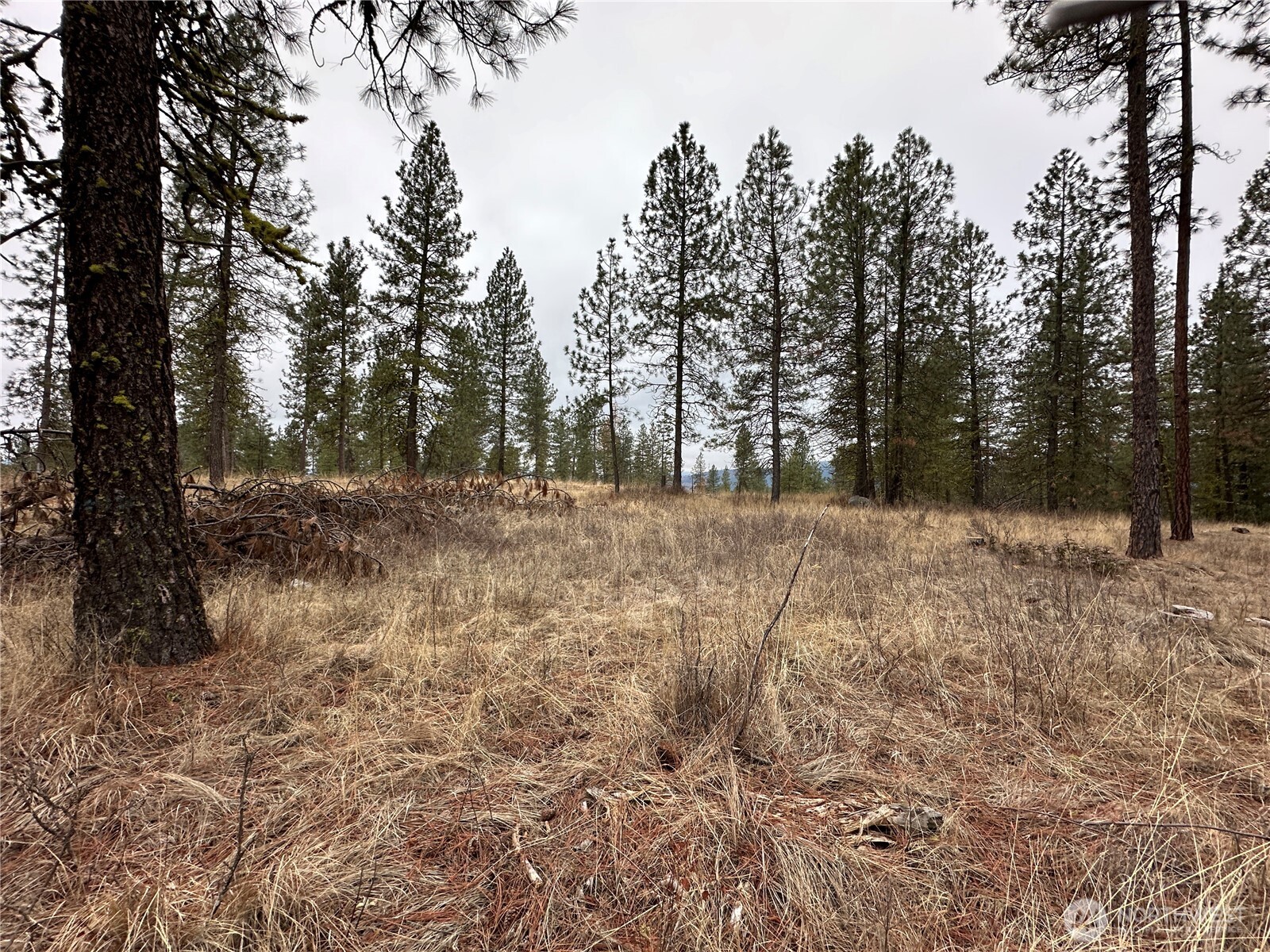 0 34xx Daisy Mine Road Property Photo 9