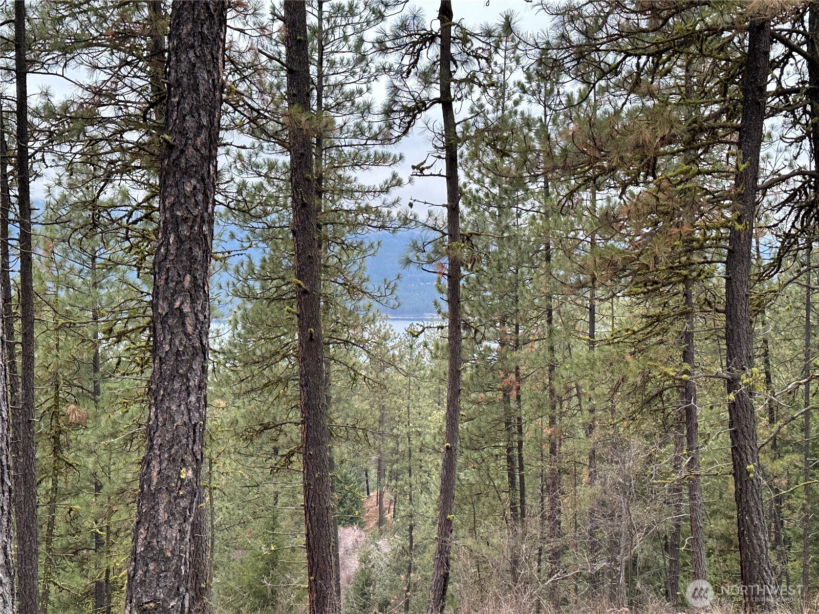 0 34xx Daisy Mine Road Property Photo 10