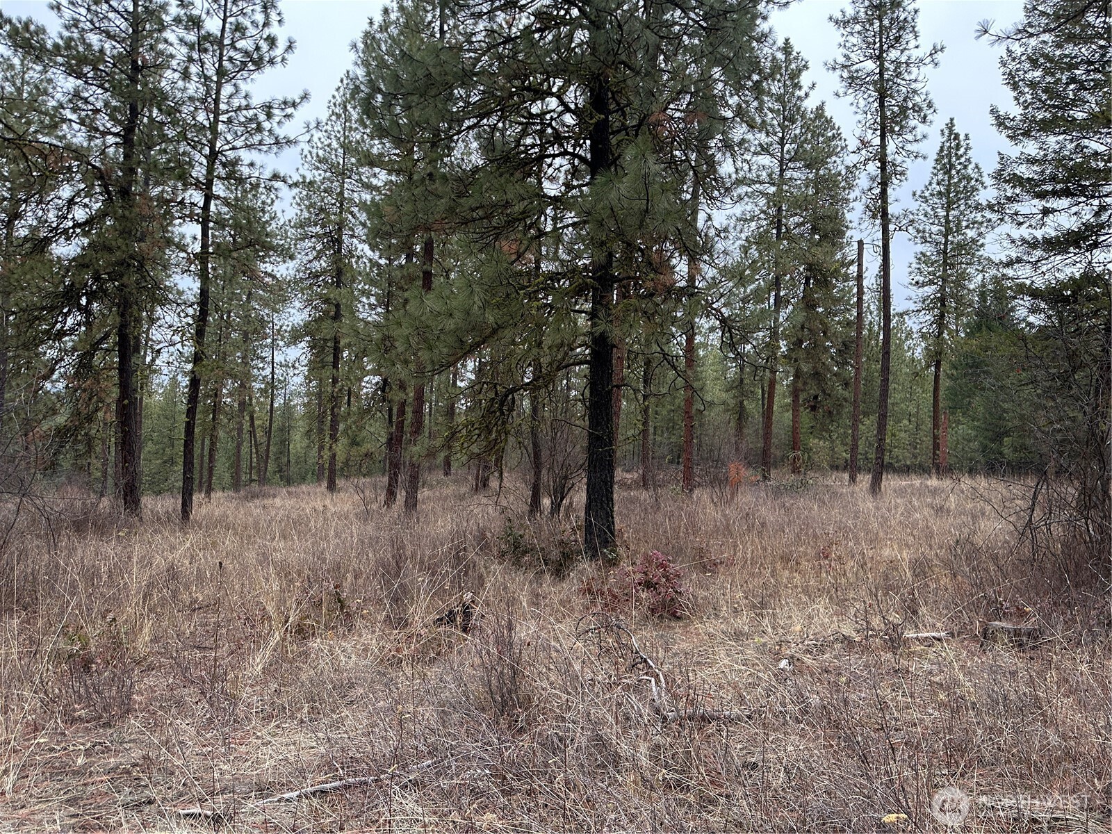 0 34xx Daisy Mine Road Property Photo 12
