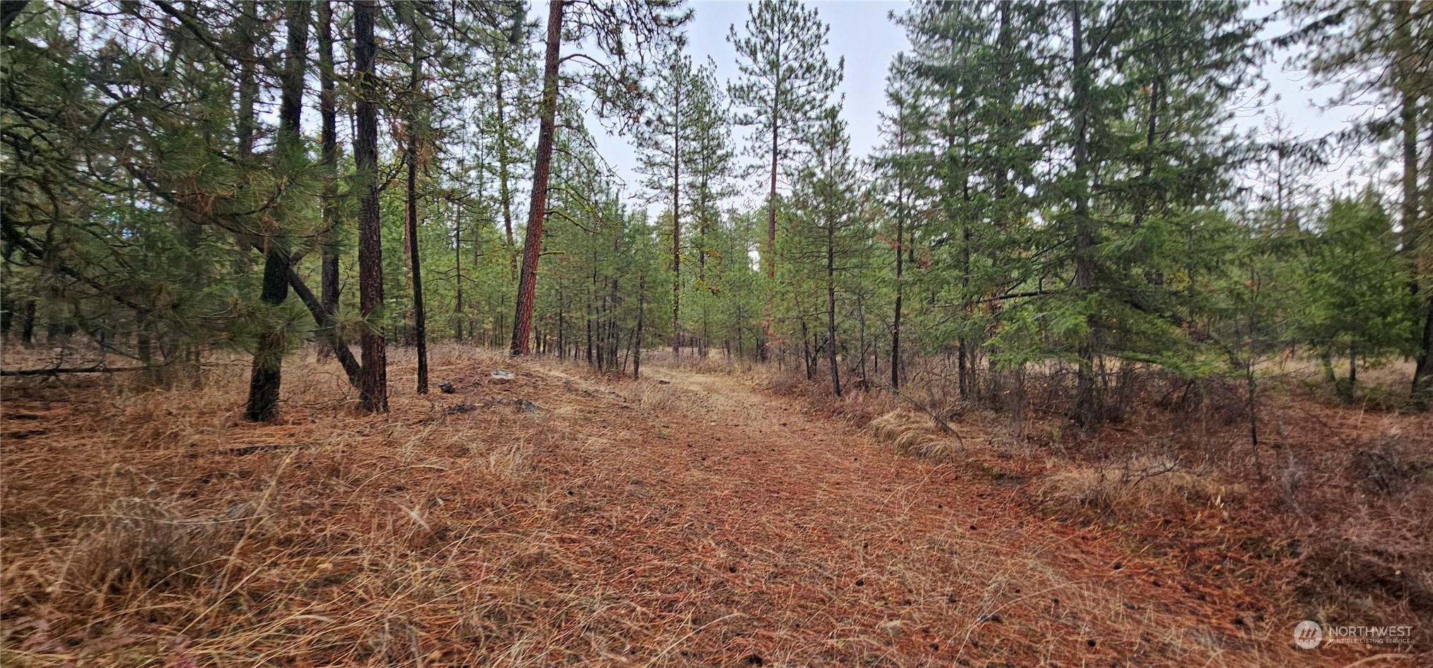 0 34xx Daisy Mine Road Property Photo 16
