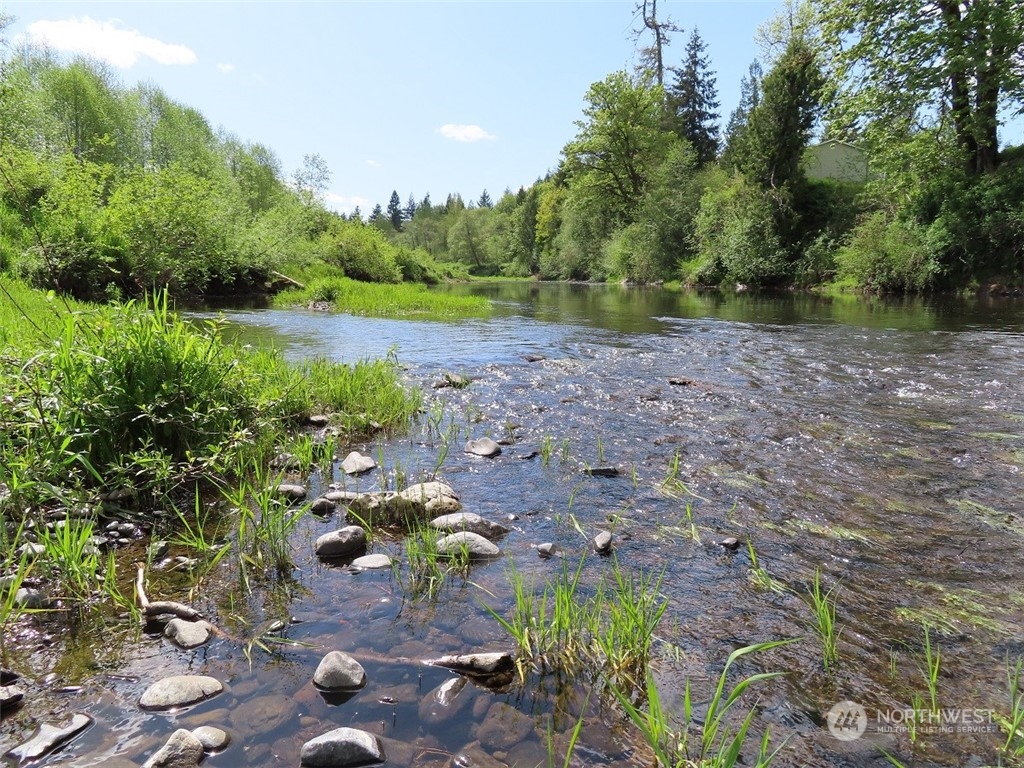 Dryad Real Estate Listings Main Image