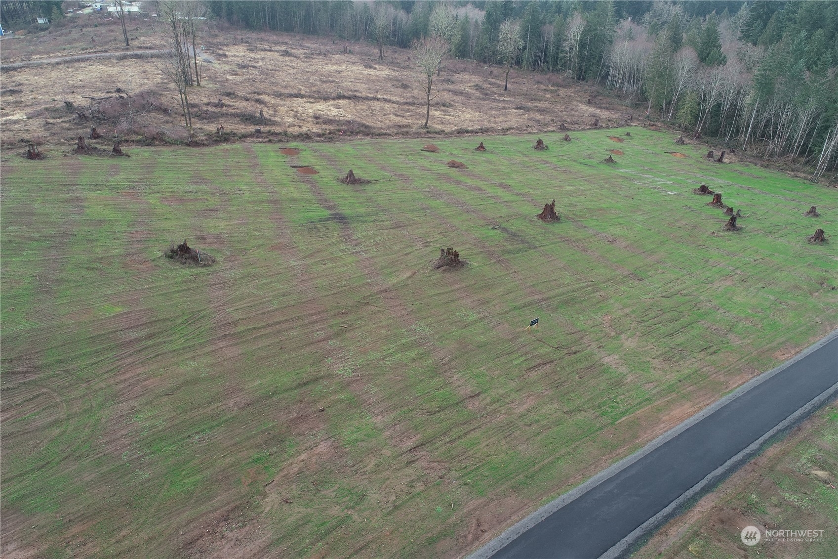 238 Ash Mountain Drive Property Photo 3