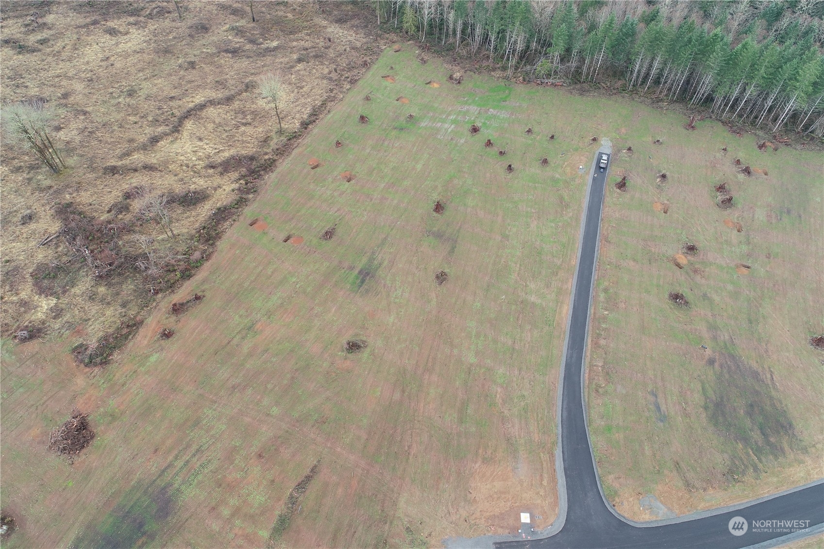 238 Ash Mountain Drive Property Photo 14
