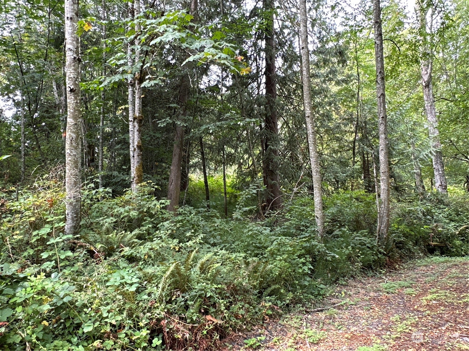9 Xx Ne Winston Drive Property Photo