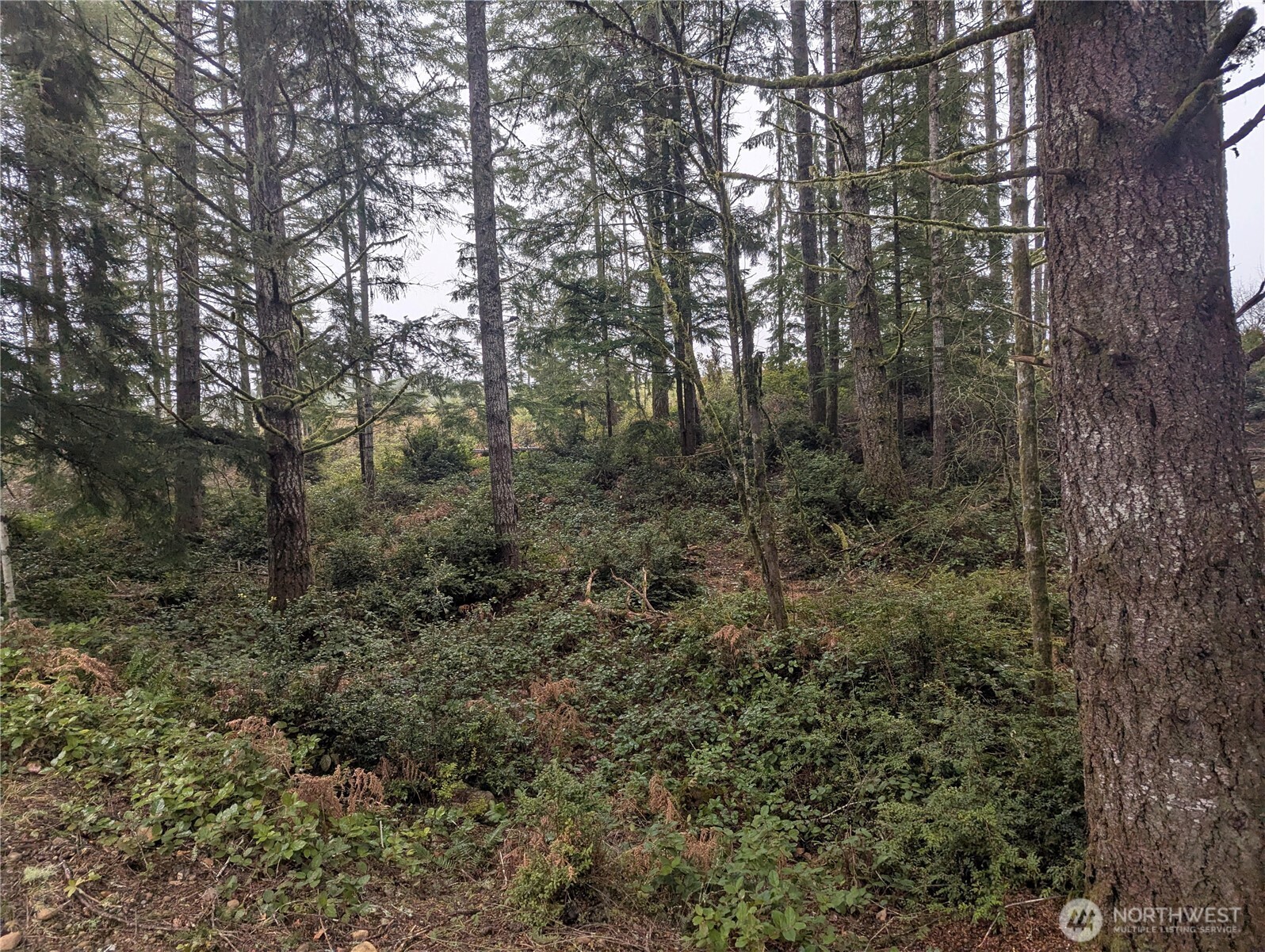161 E Hemlock Lane Property Photo