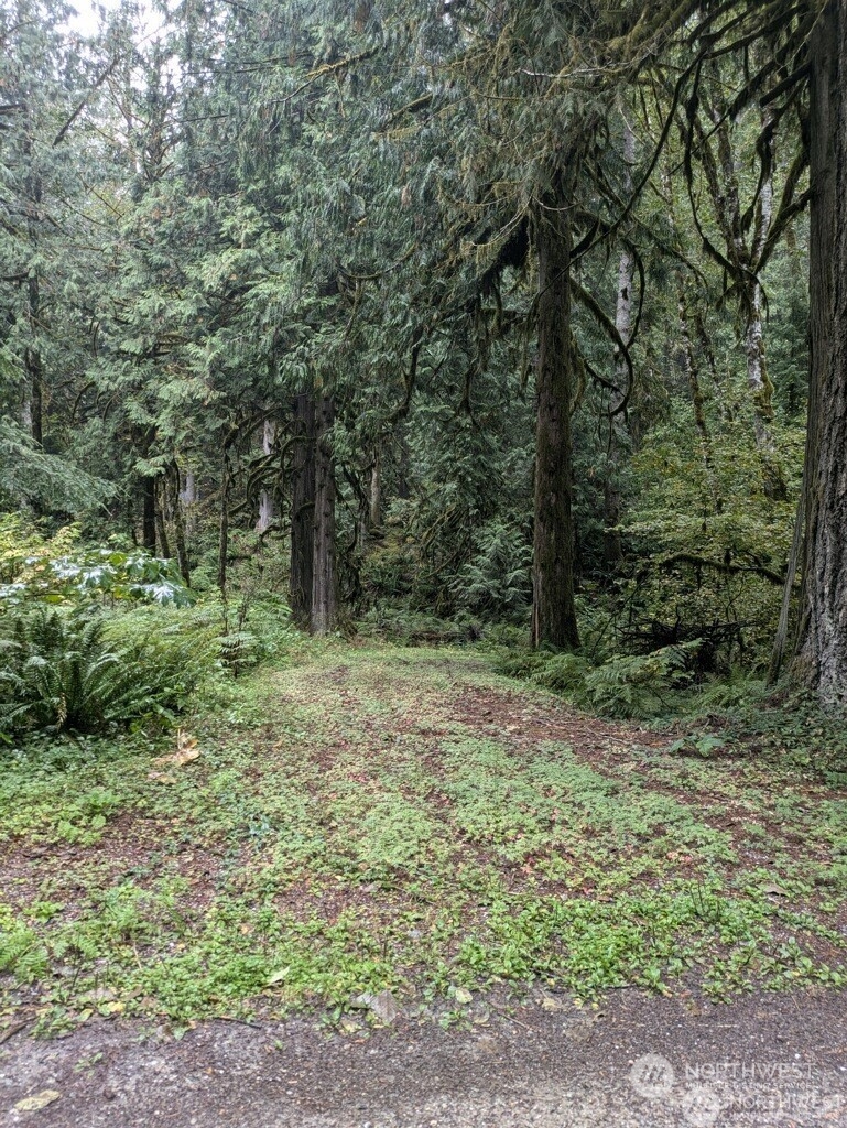 0 Cascade Park D1-68 Place D1l68 Property Photo
