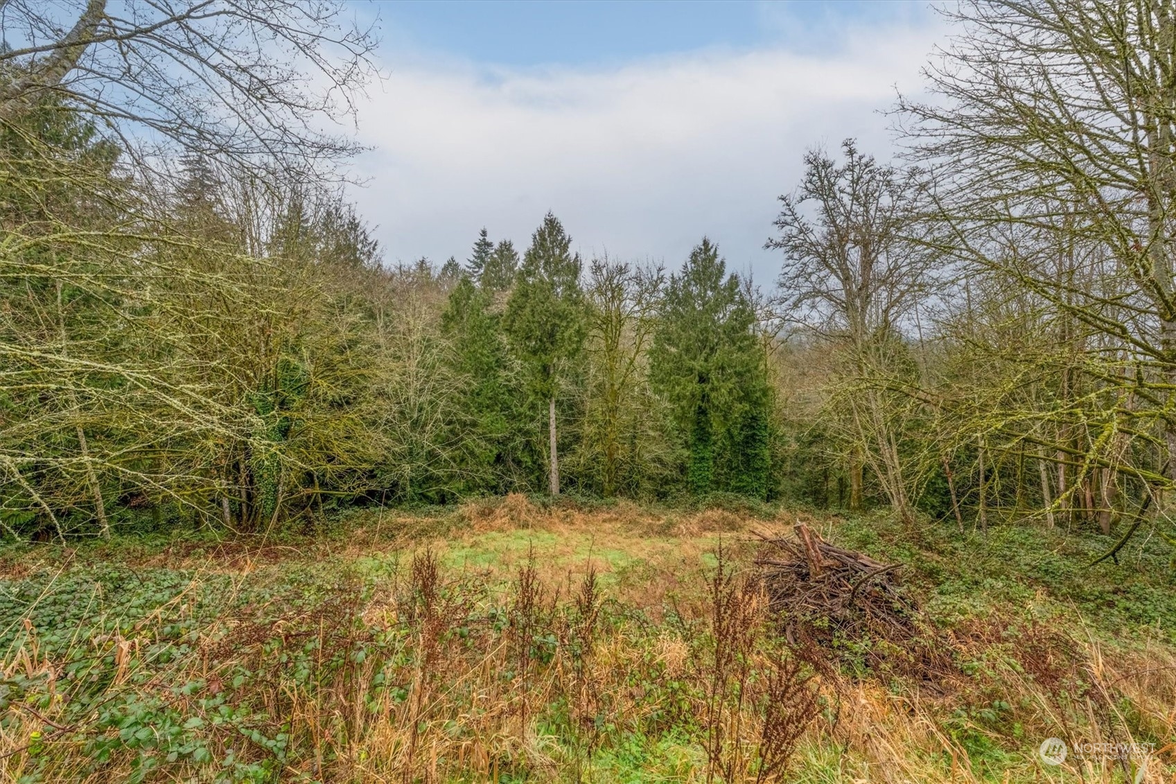 0 Olson Road Property Photo