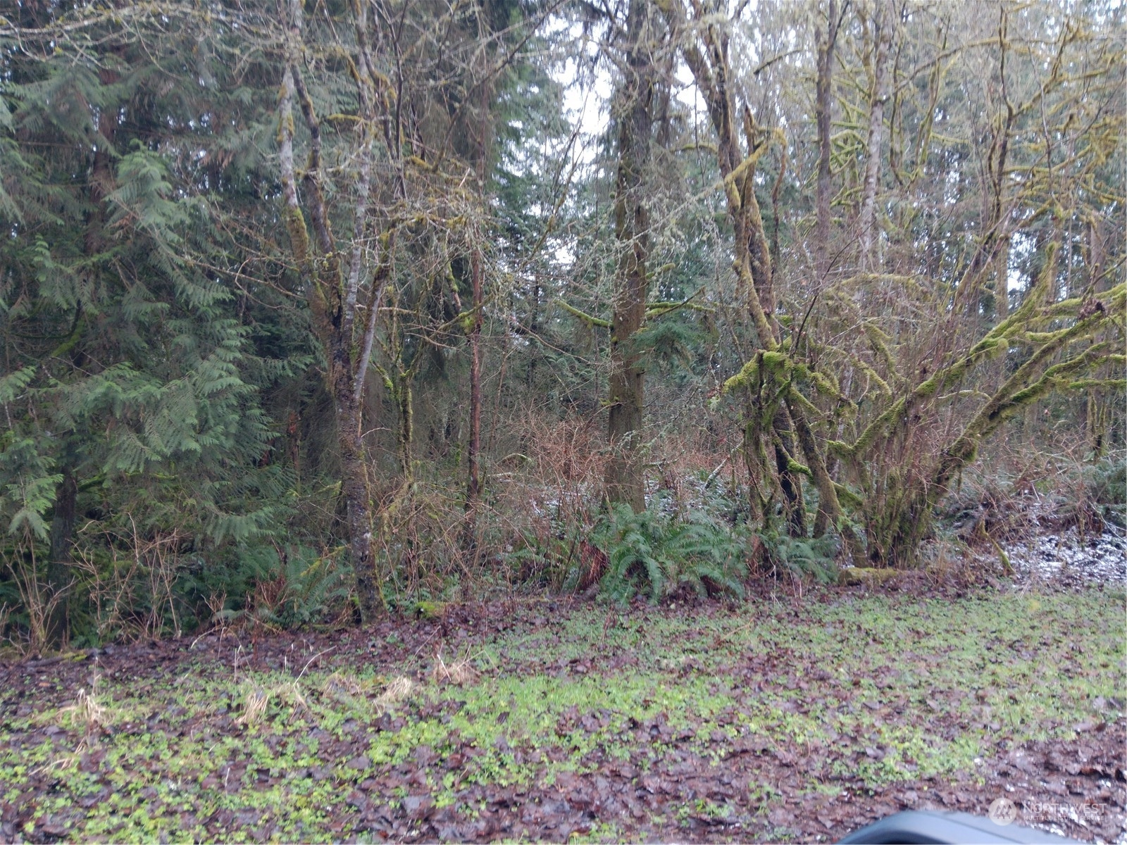 17 Xxx Crooked Mile Road Property Photo