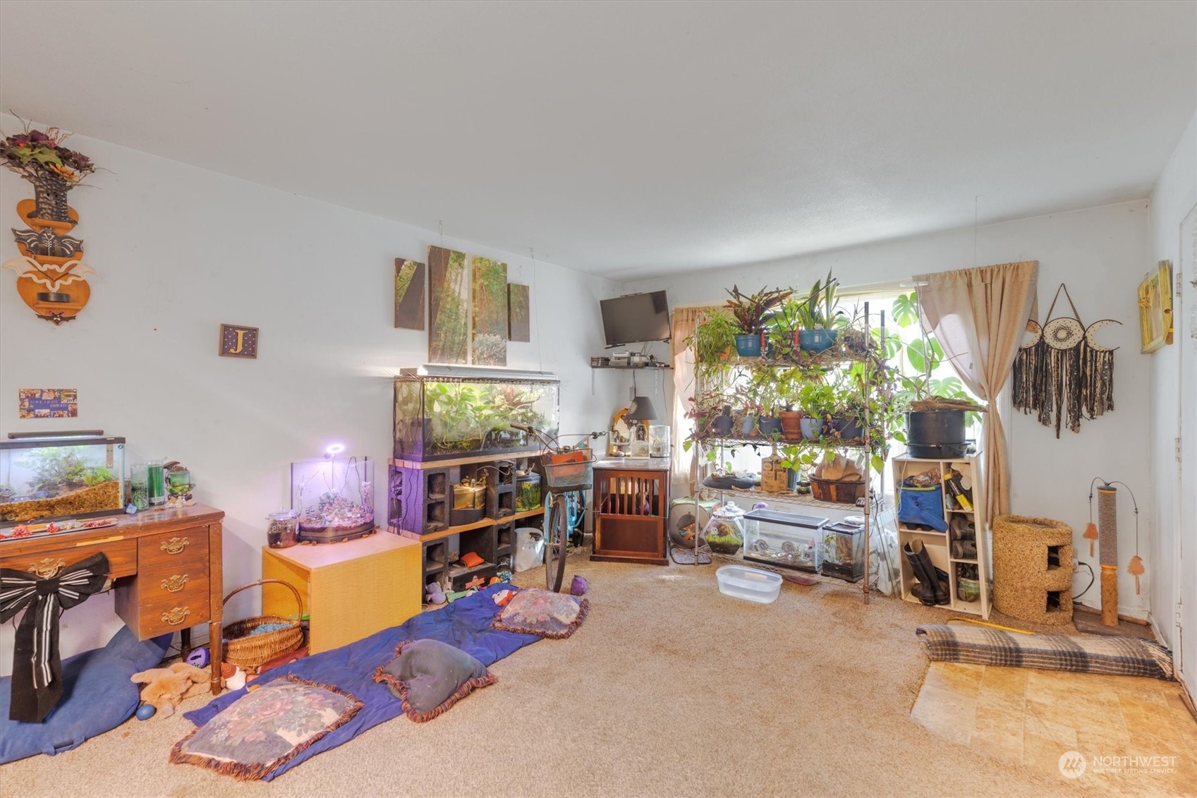 227 24th Avenue Property Photo 5