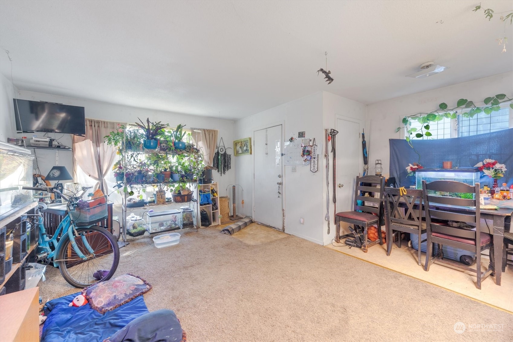 227 24th Avenue Property Photo 6