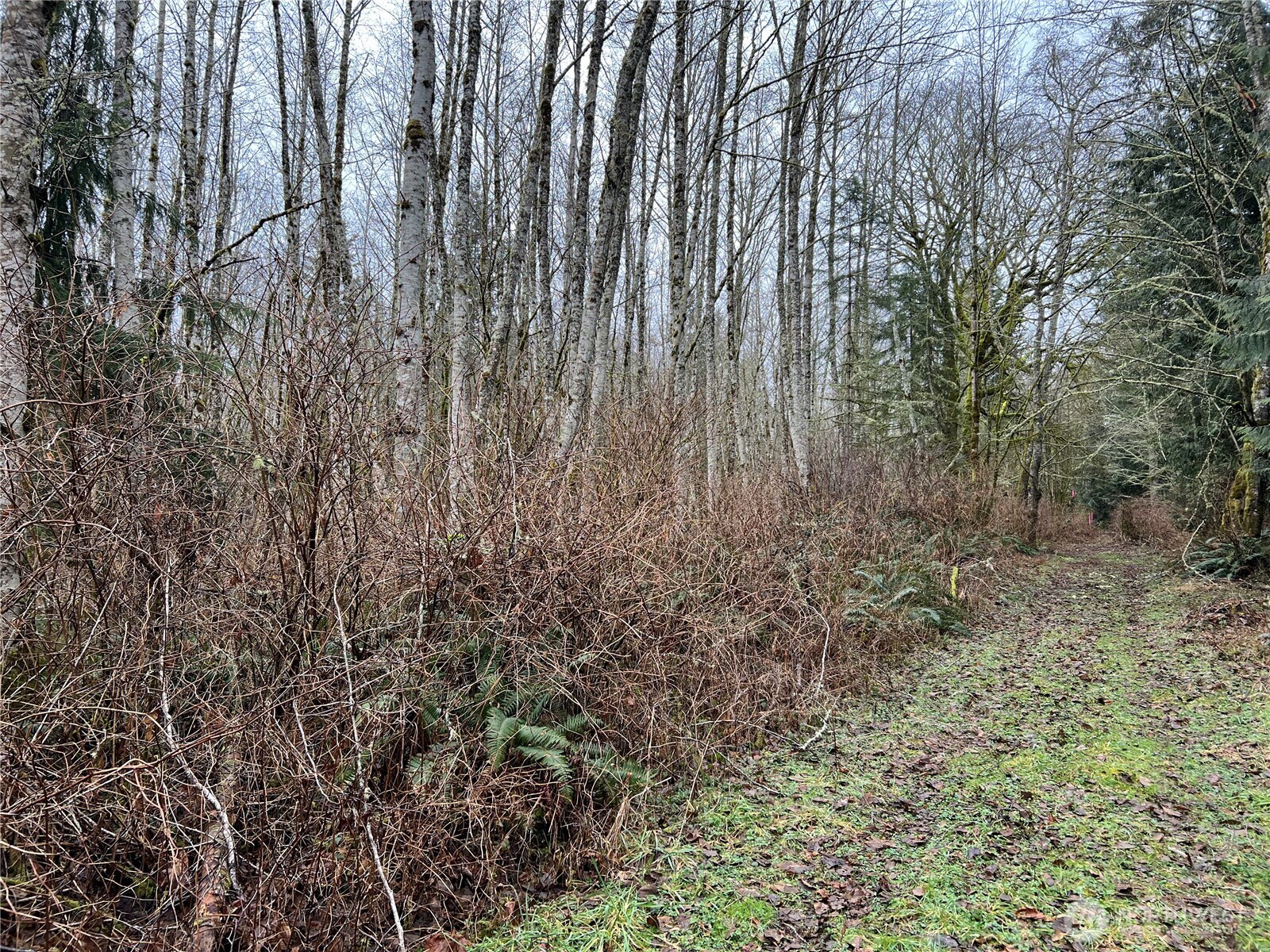 22 Xx Scenic Drive Property Photo 2