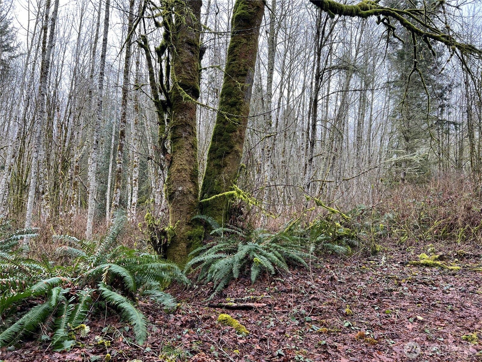 22 Xx Scenic Drive Property Photo 9