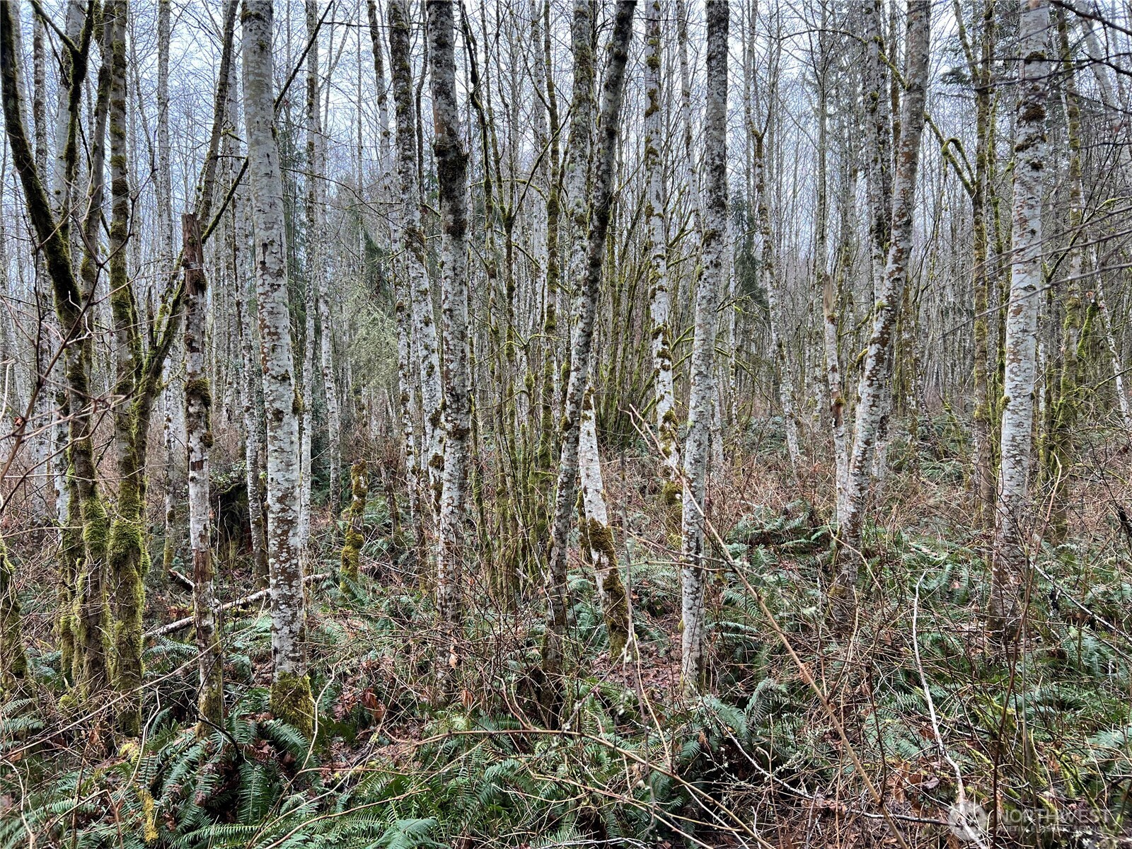 22 Xx Scenic Drive Property Photo 10