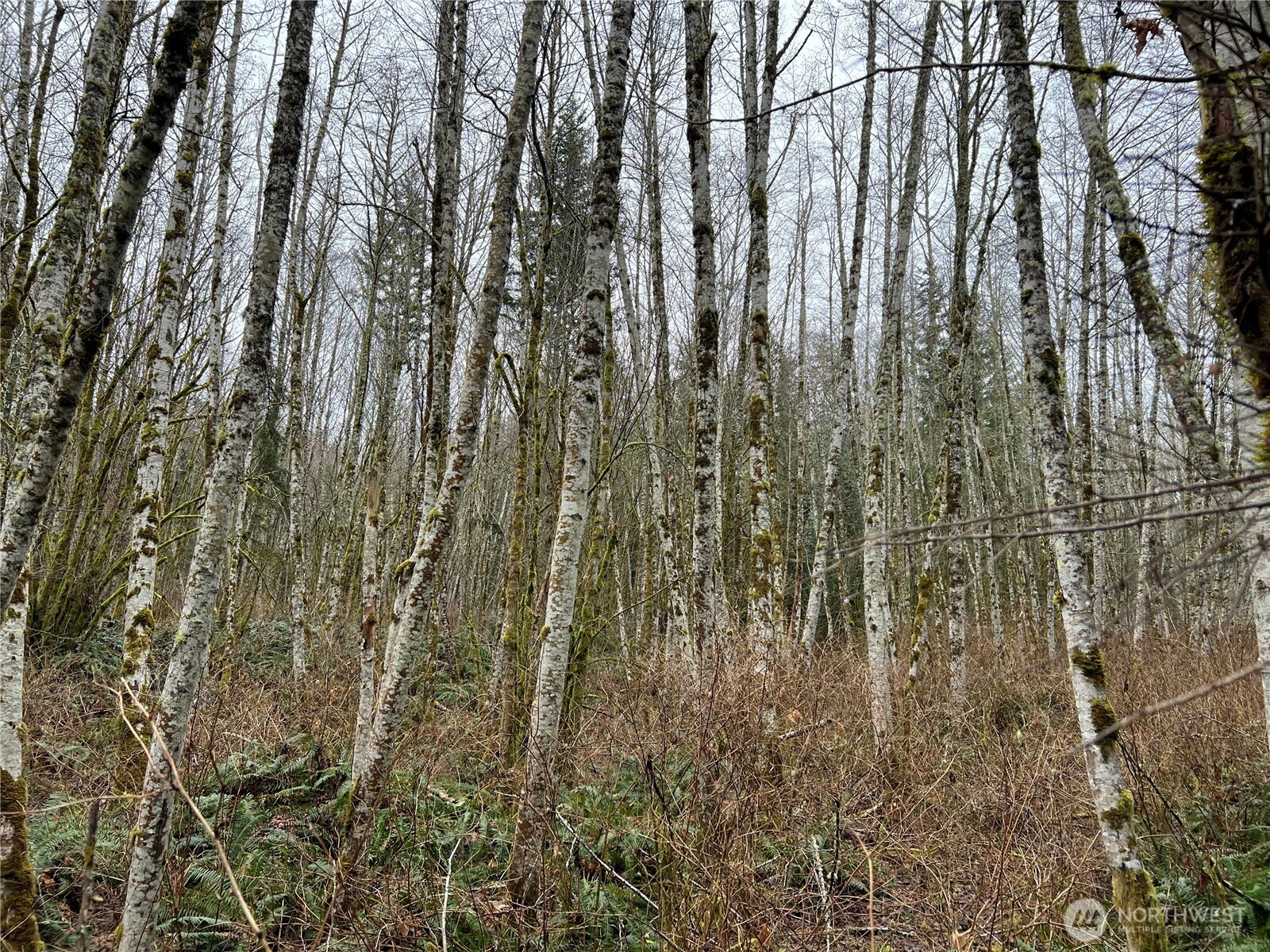 22 Xx Scenic Drive Property Photo 11