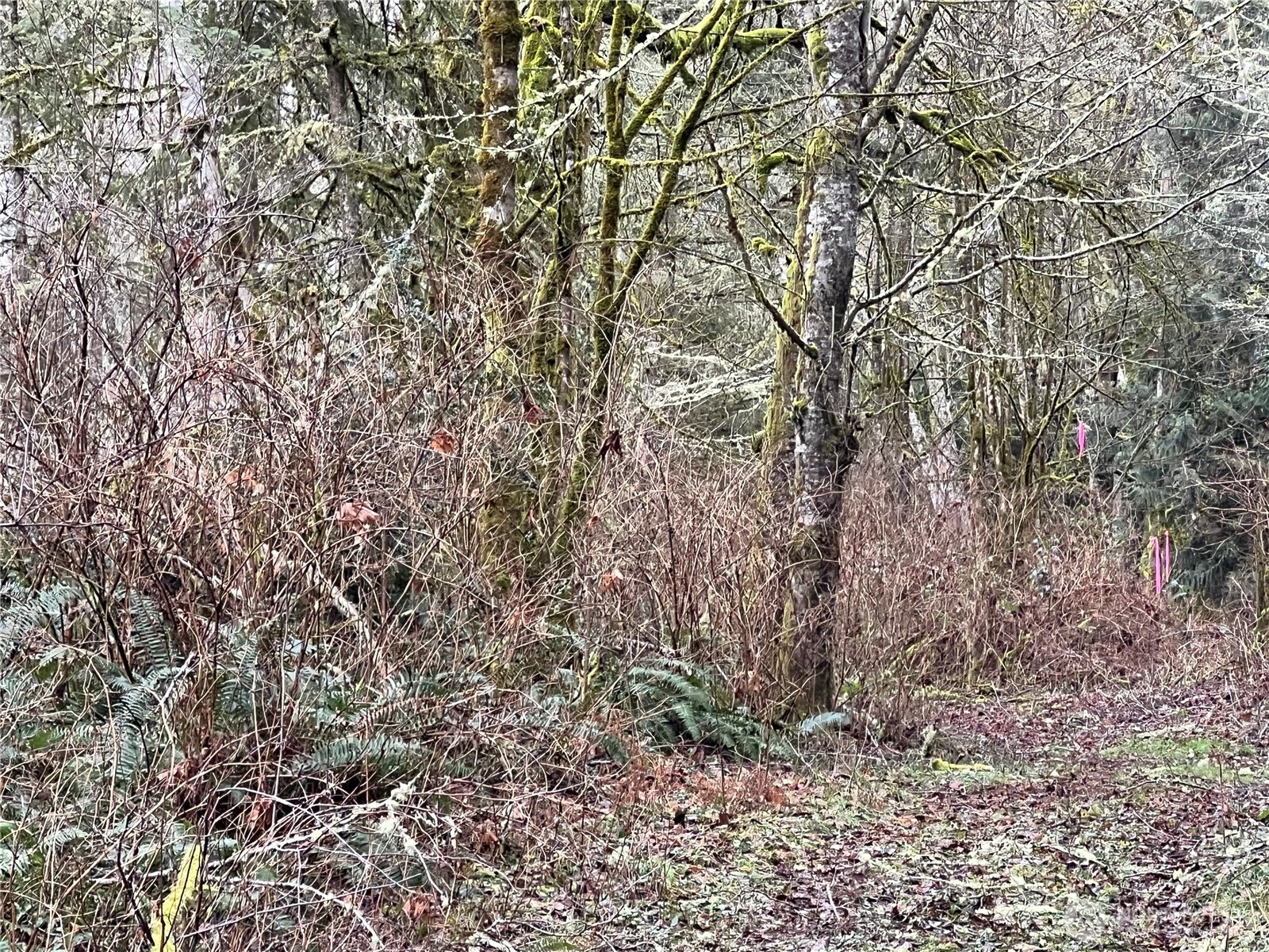 22 Xx Scenic Drive Property Photo 12