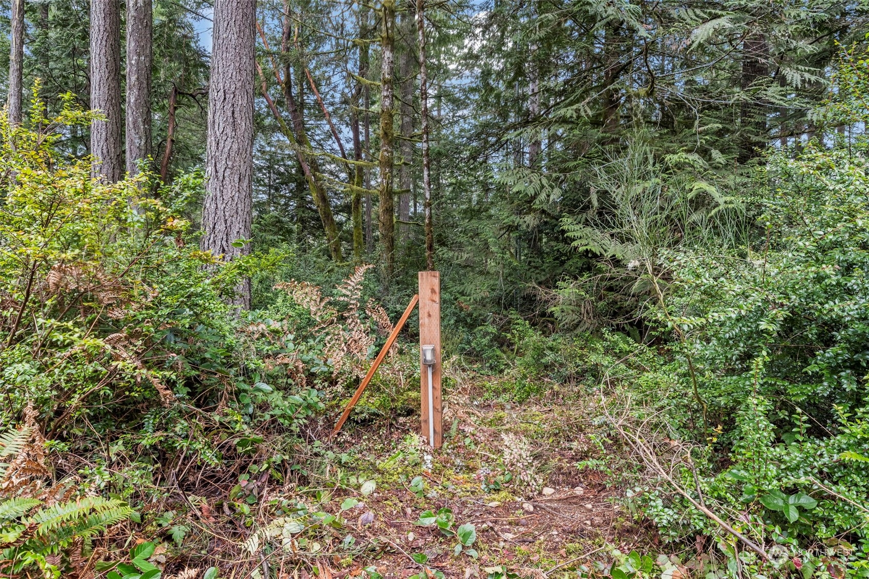19205 30th Street Property Photo 12