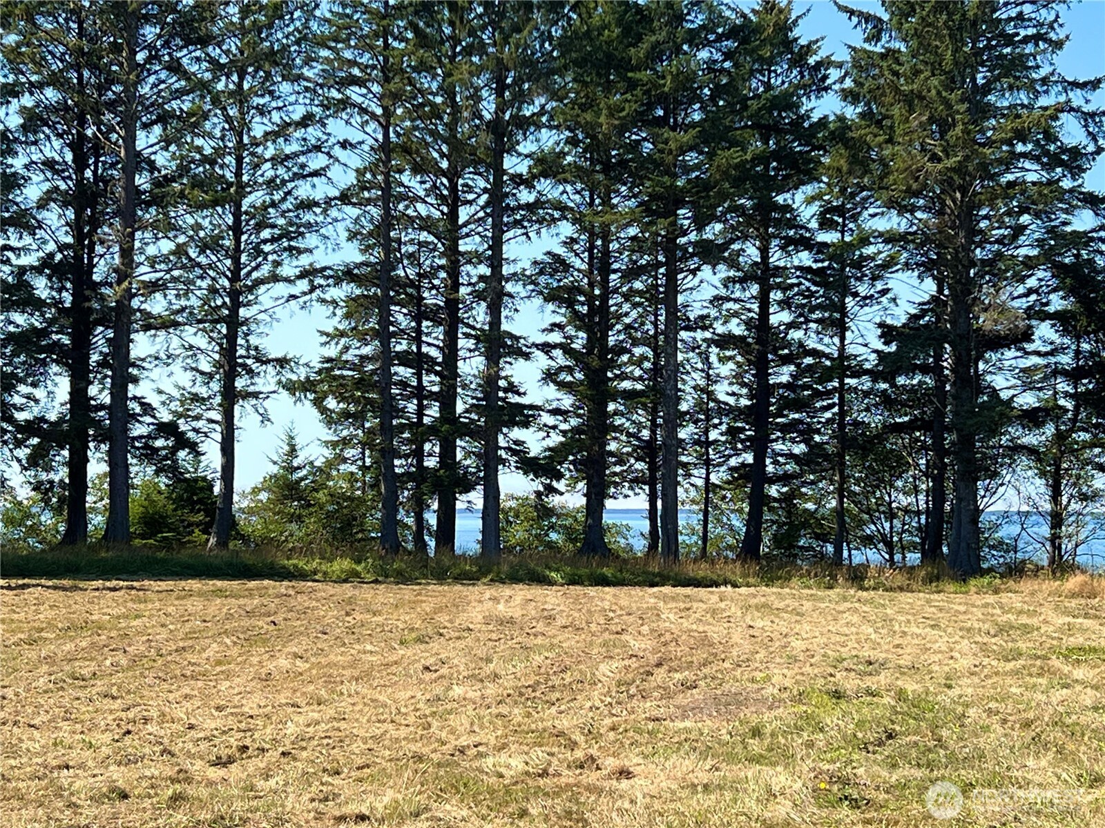 63 Ranta Road Property Photo 11