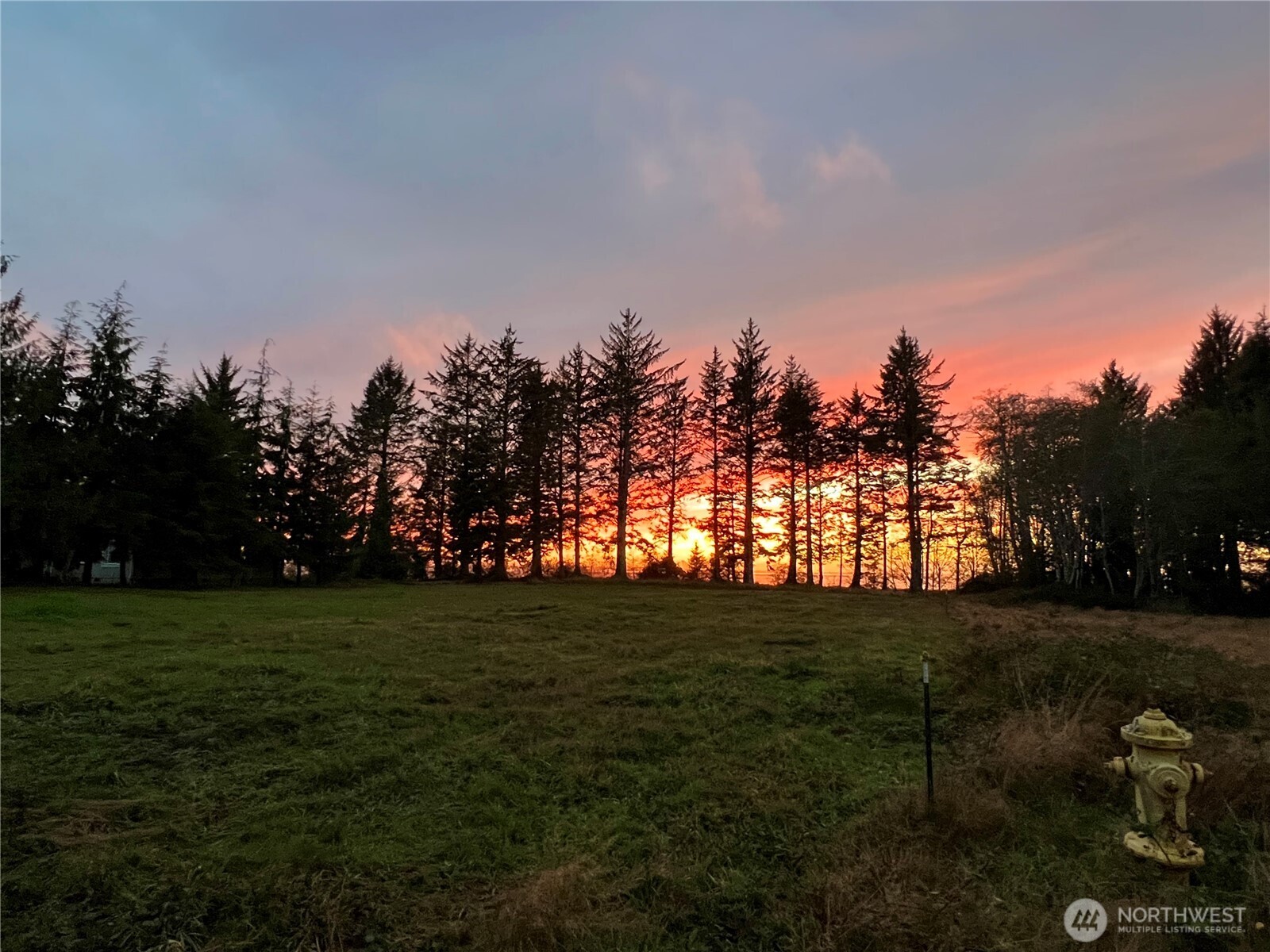 63 Ranta Road Property Photo 12
