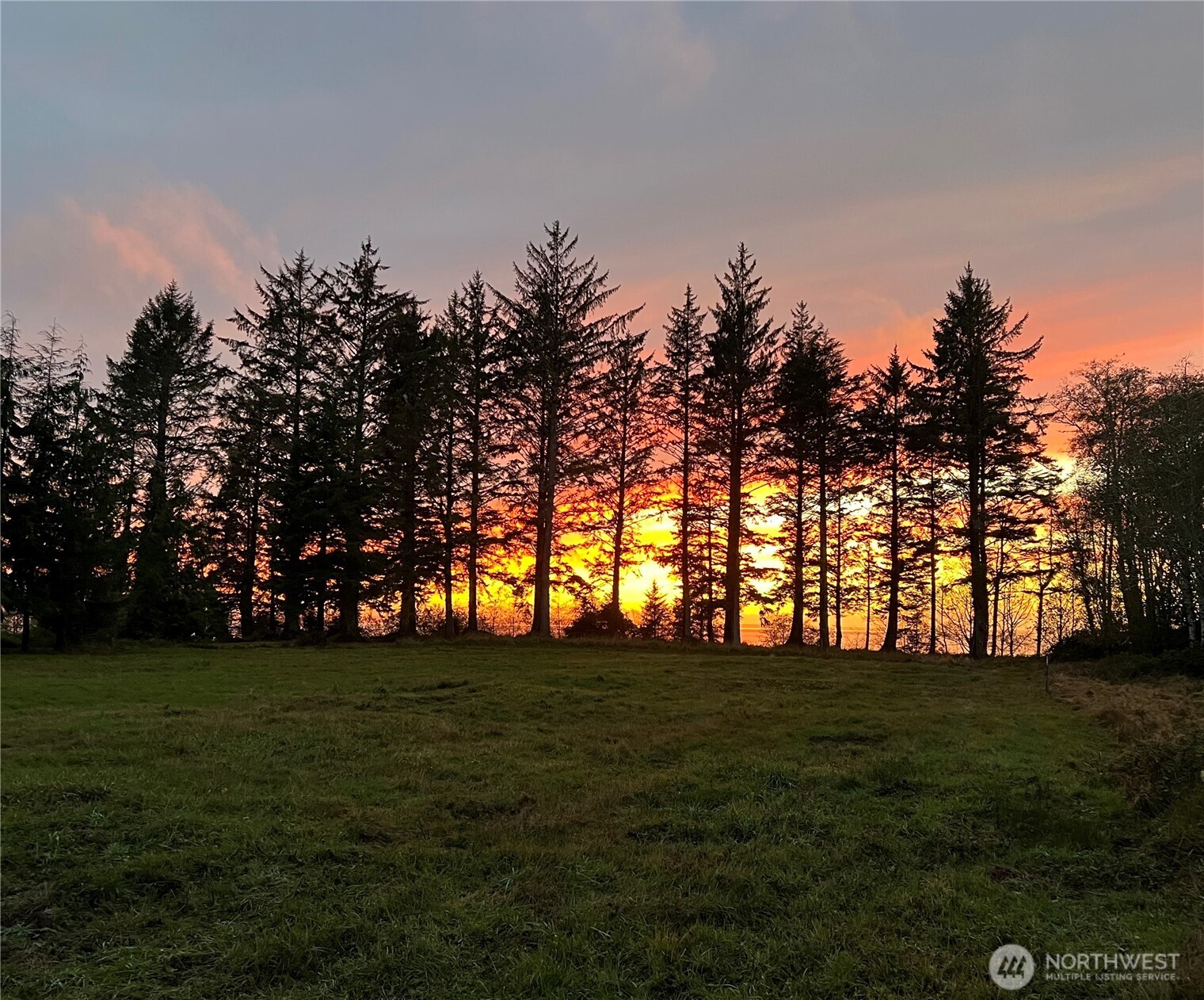 63 Ranta Road Property Photo 13