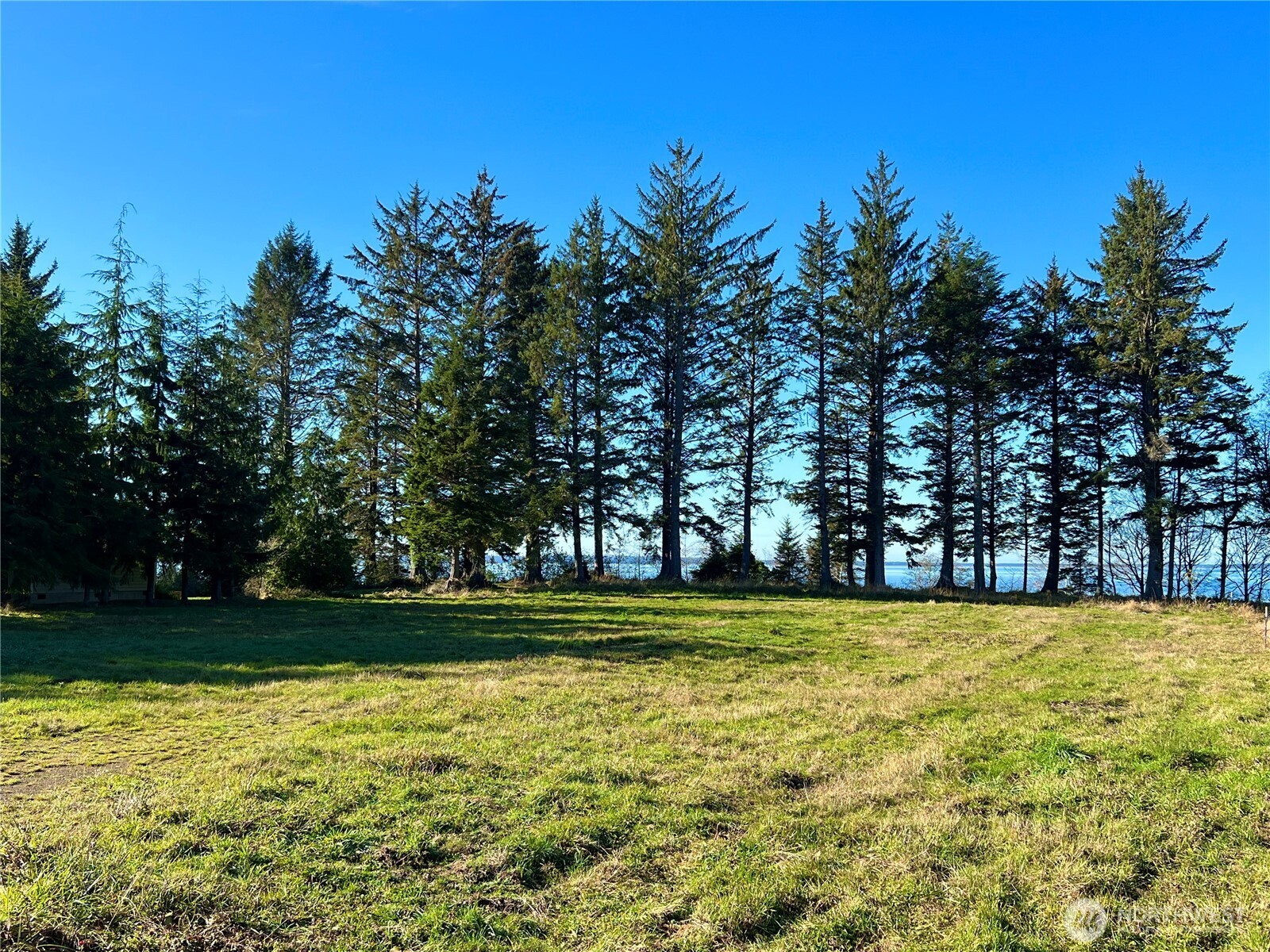 63 Ranta Road Property Photo 14