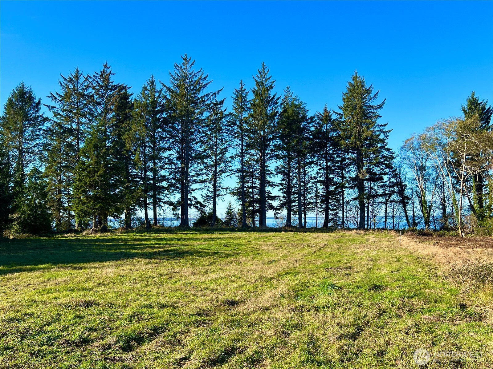 63 Ranta Road Property Photo 15