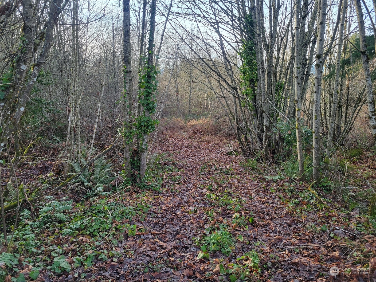 1200 Baby Doll Road Property Photo 1