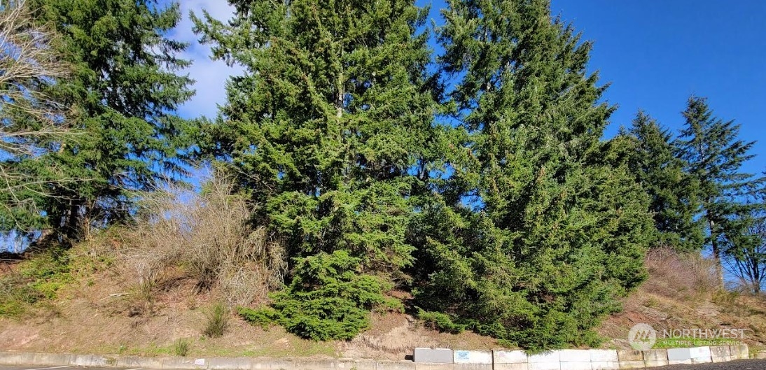 120 Pattison Street Property Photo 2