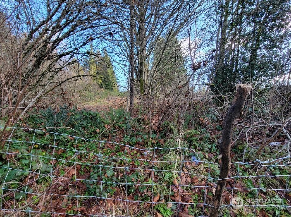 120 Pattison Street Property Photo 6