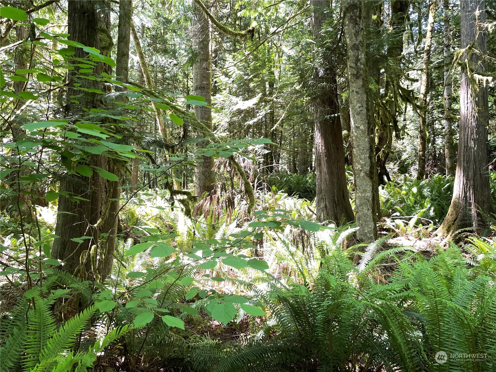 305000 Highway 101 Property Photo