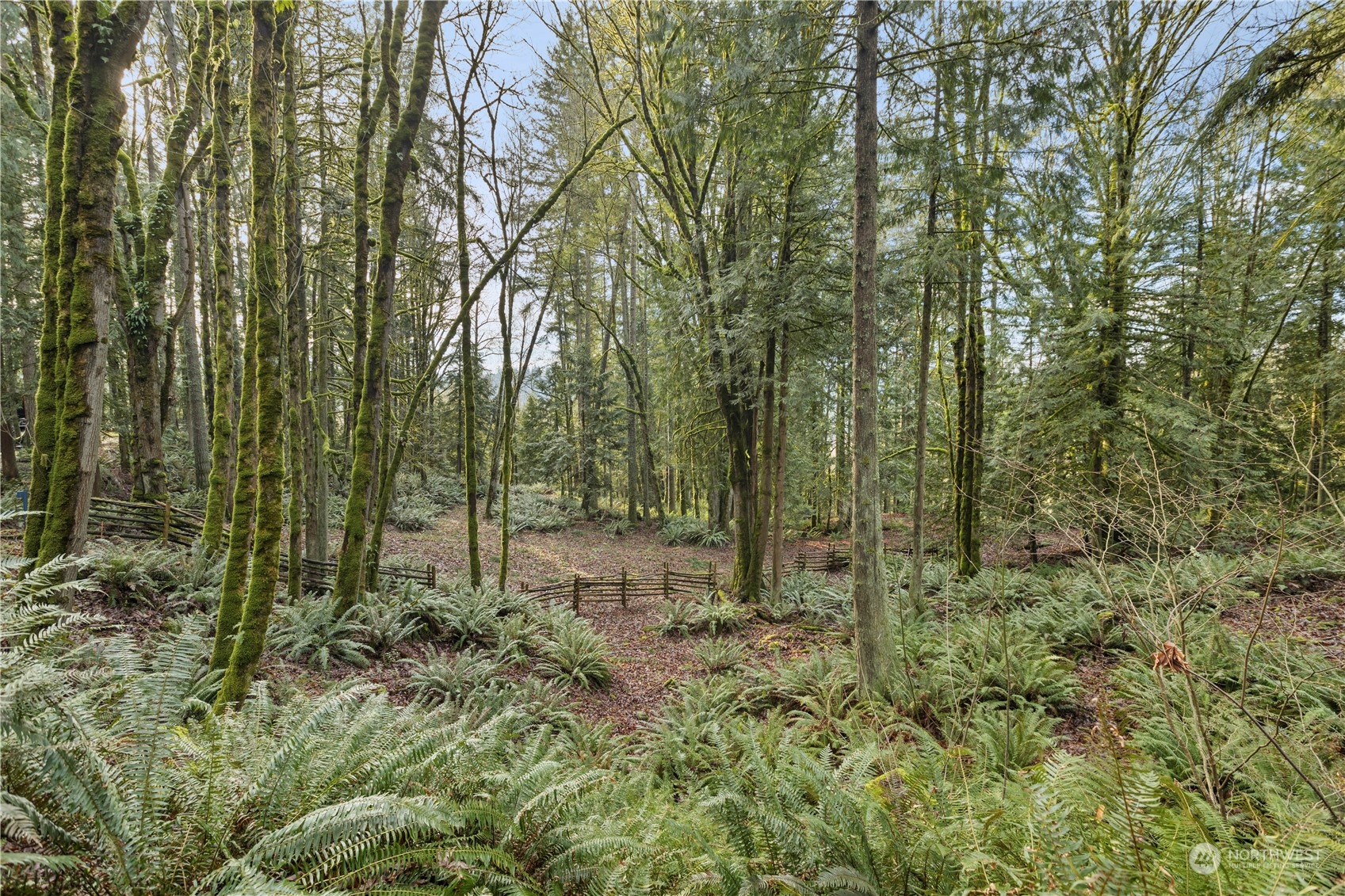 23827 Se Green Valley Road Property Photo